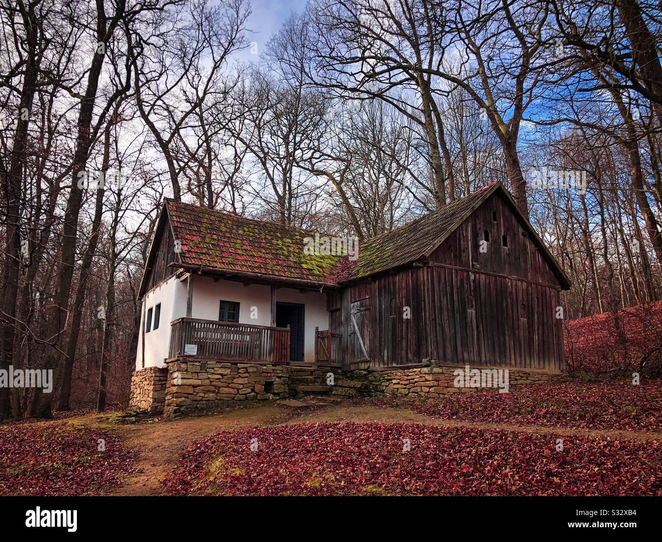 Rustic house in the forest - Smartphone Captured Stock Image