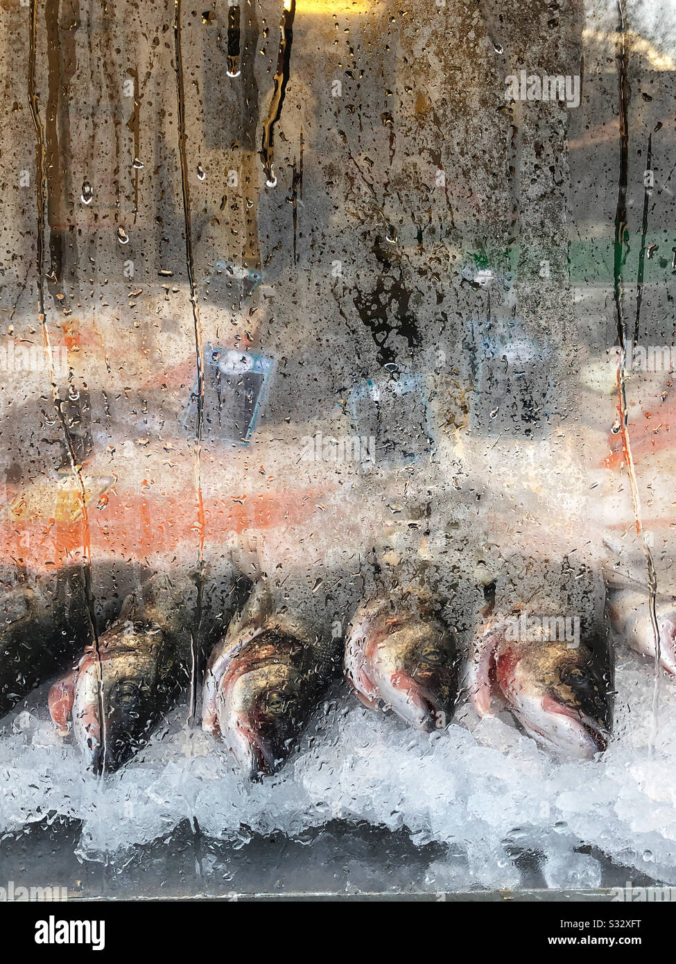Fishmongers window - Smartphone Captured Stock Image