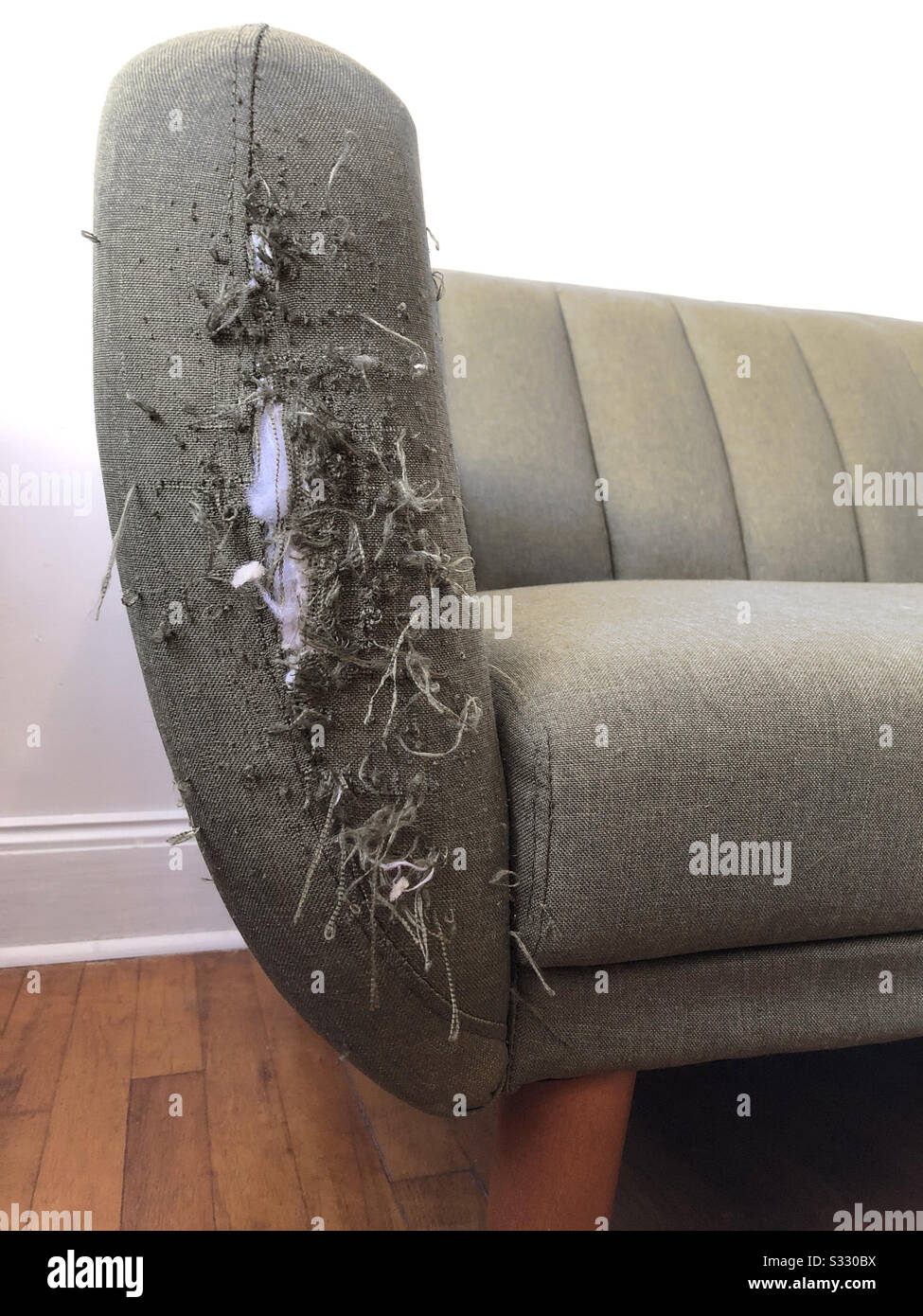 Sofa furniture clawed by pet cats - Smartphone Captured Stock Image