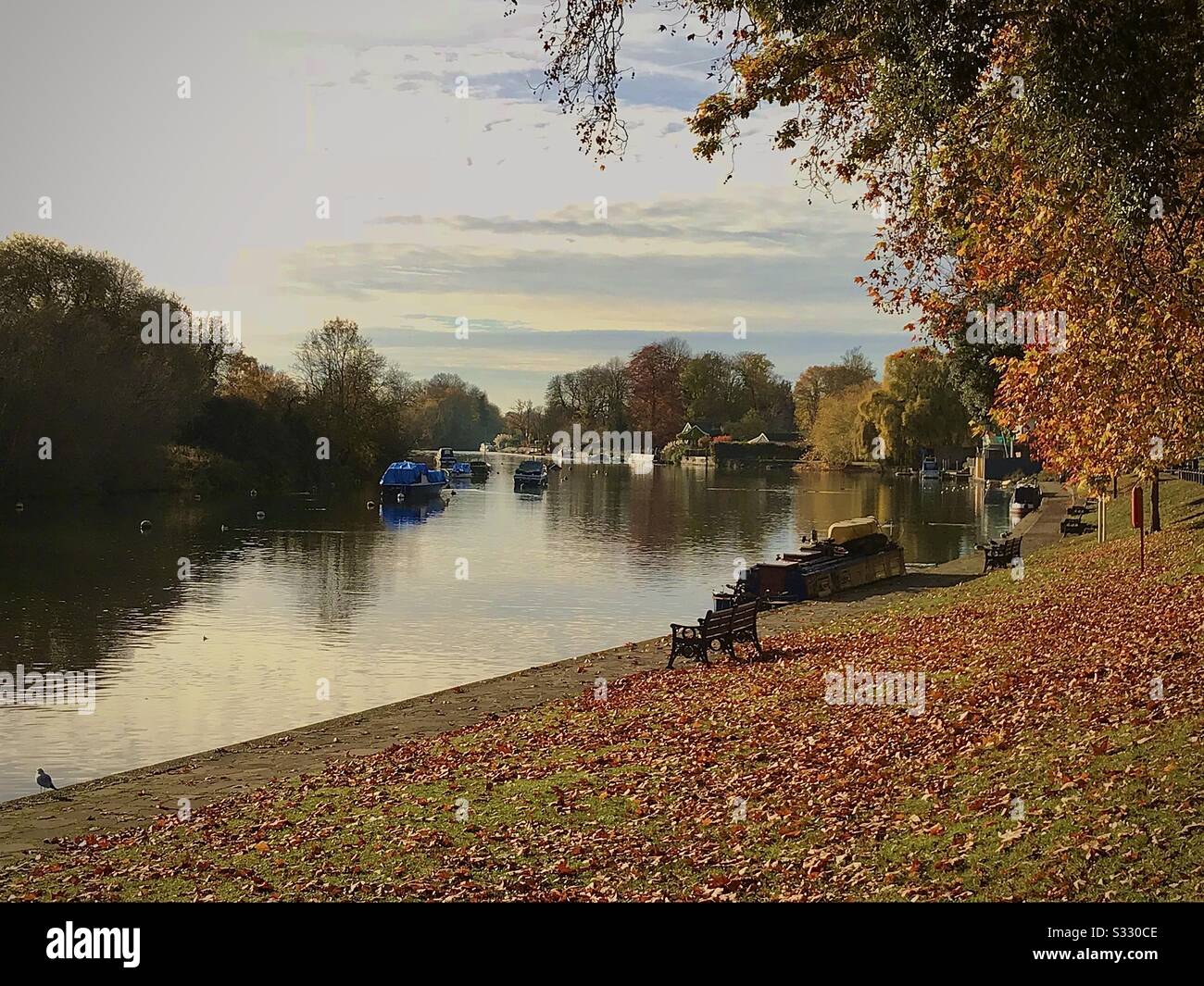 Riverside Sunbury On Thames High Resolution Stock Photography and