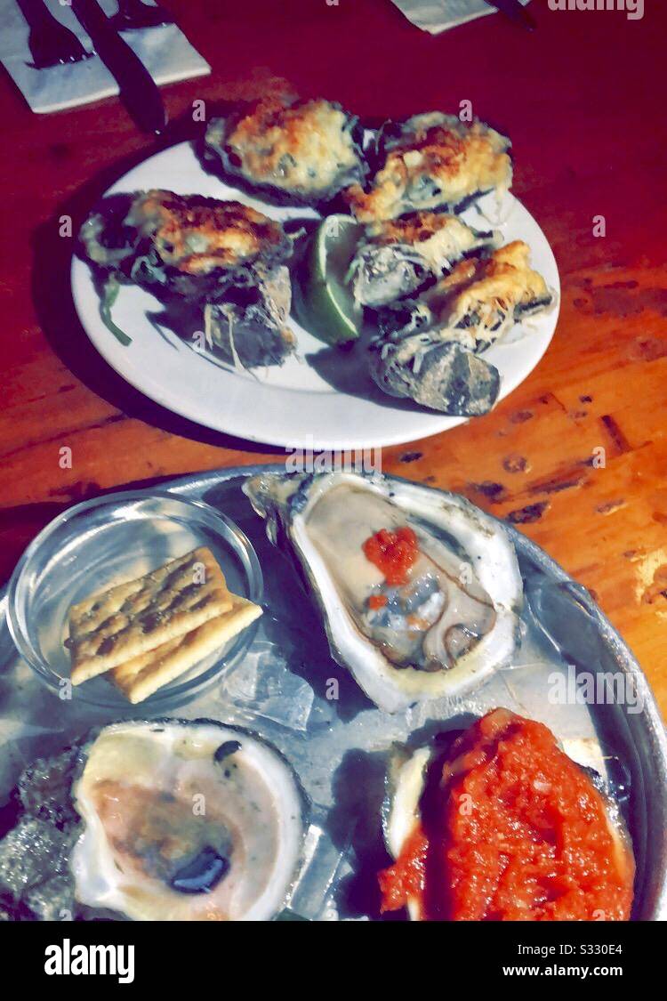 Raw Oysters on the half shell Stock Photo Alamy