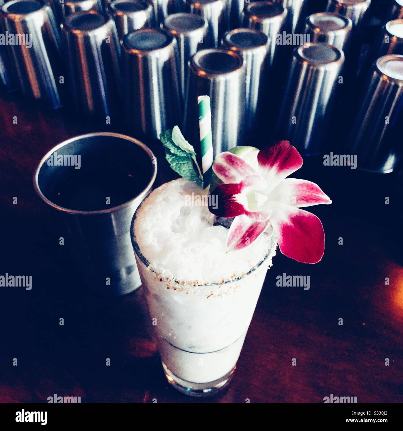 Fancy coconut cocktail with orchid in trendy vegan bar in Seattle - Smartphone Captured Stock Image
