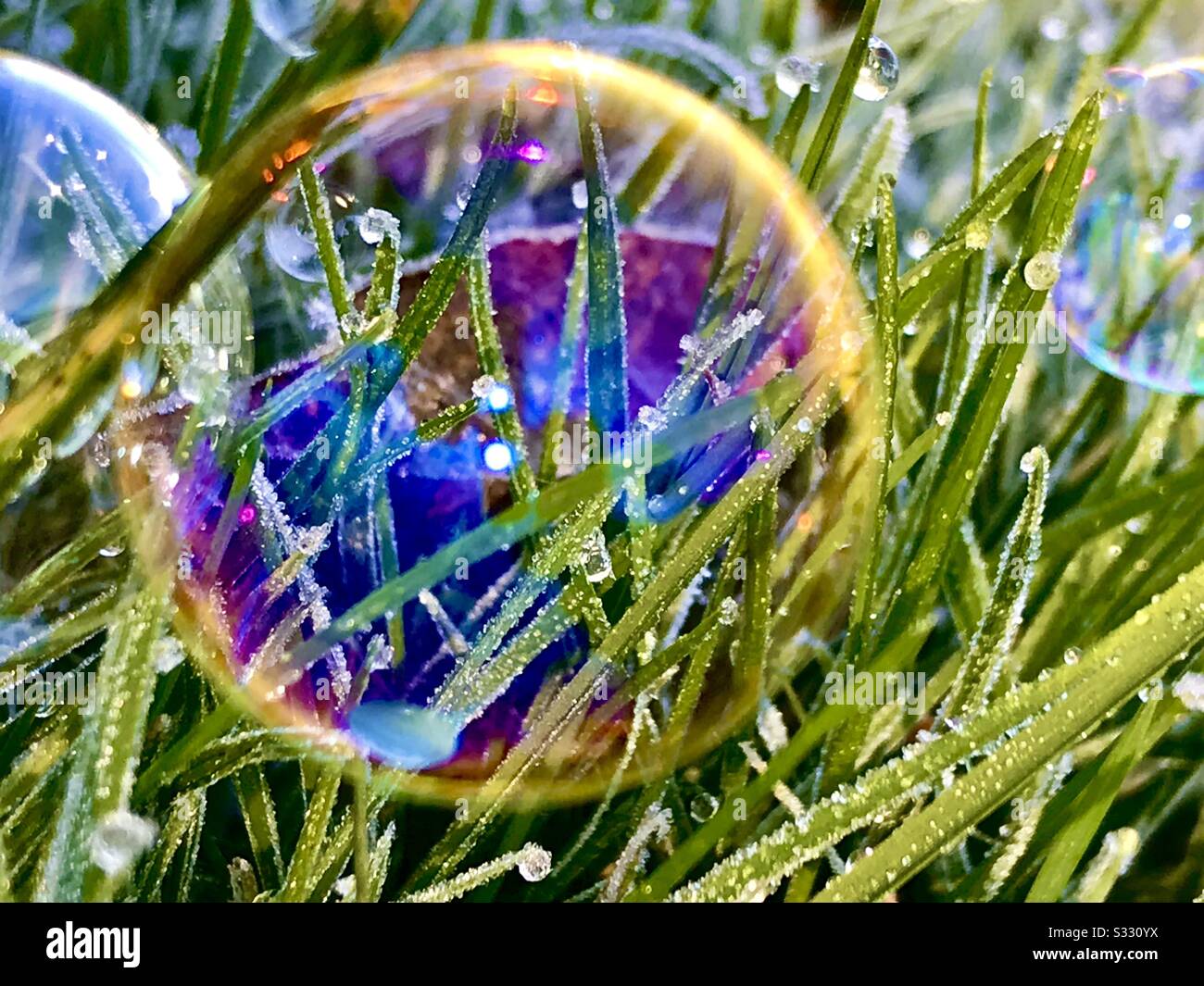 Children’s bubbles on frosty grass - Smartphone Captured Stock Image