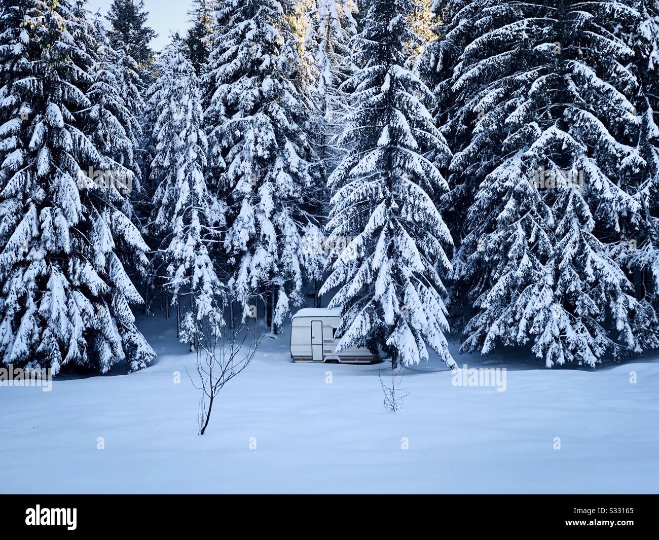 White van surrounded by frozen coniferous trees - Smartphone Captured Stock Image