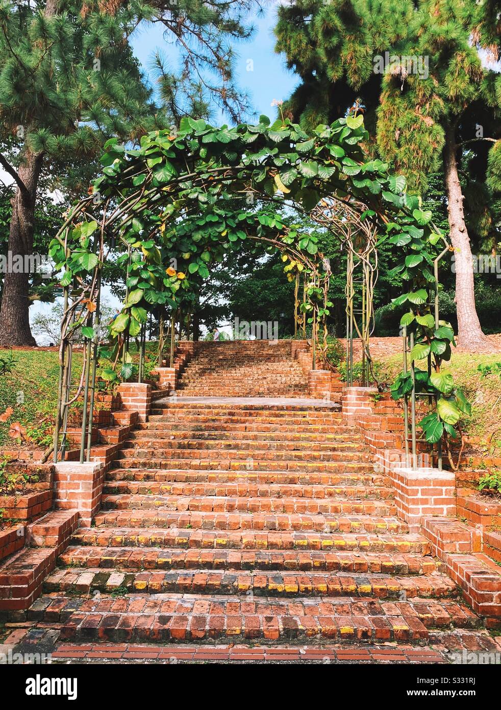 Bricked steps leading through vine covered archway at Singapore botanic gardens - Smartphone Captured Stock Image