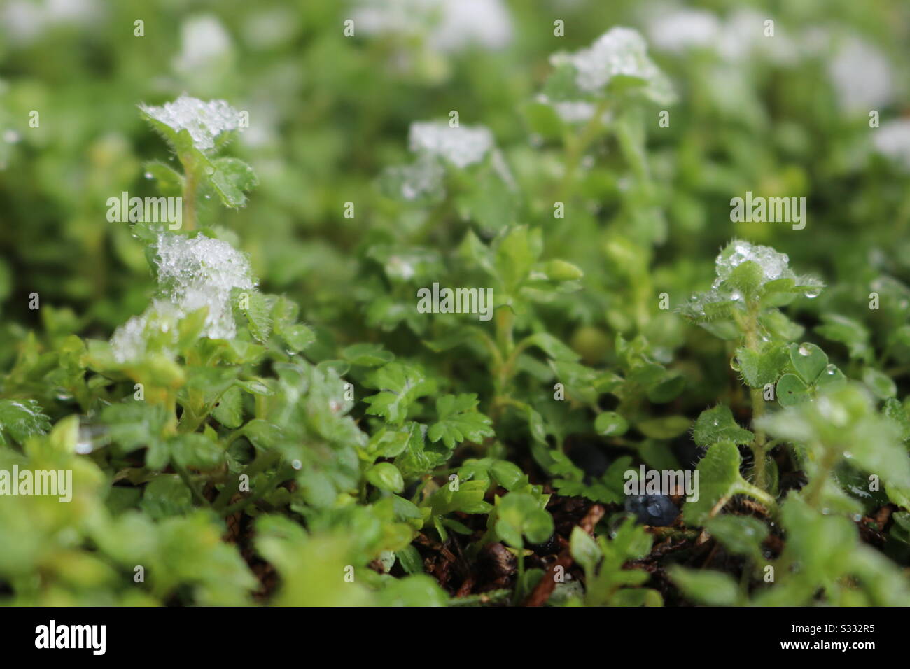 Momentary hi-res stock photography and images - Alamy