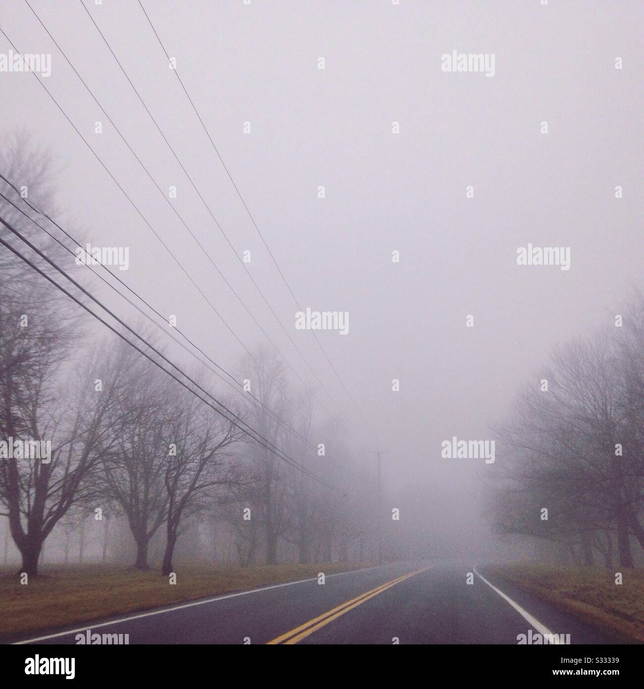 Morning Fog Foggy Road Stock Photo Alamy