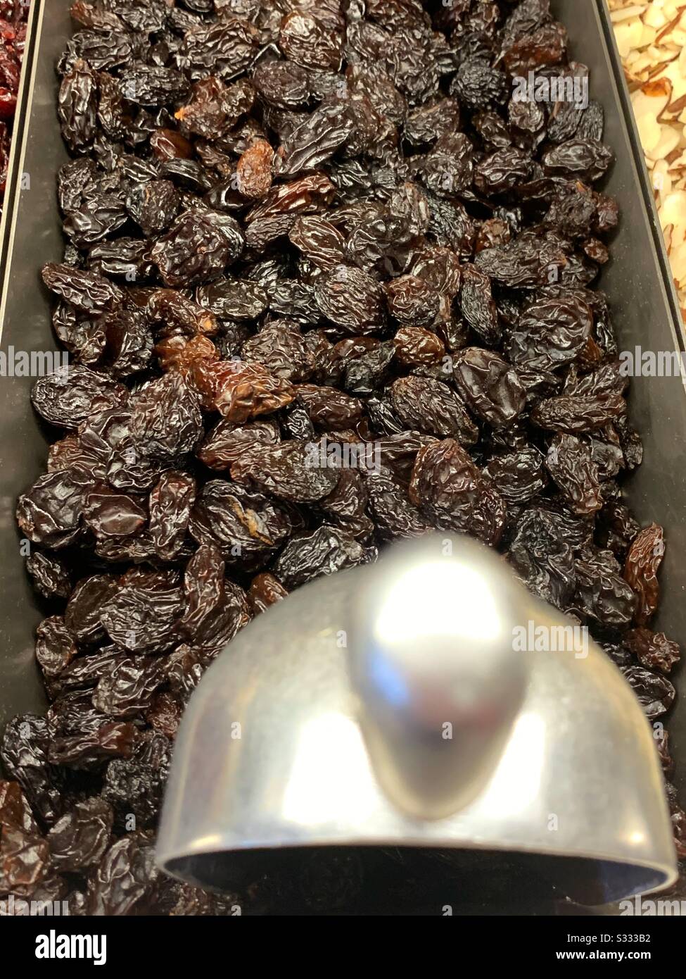 Buffet dish full of raisins with a metal scoop in a trail mix bar Stock Photo