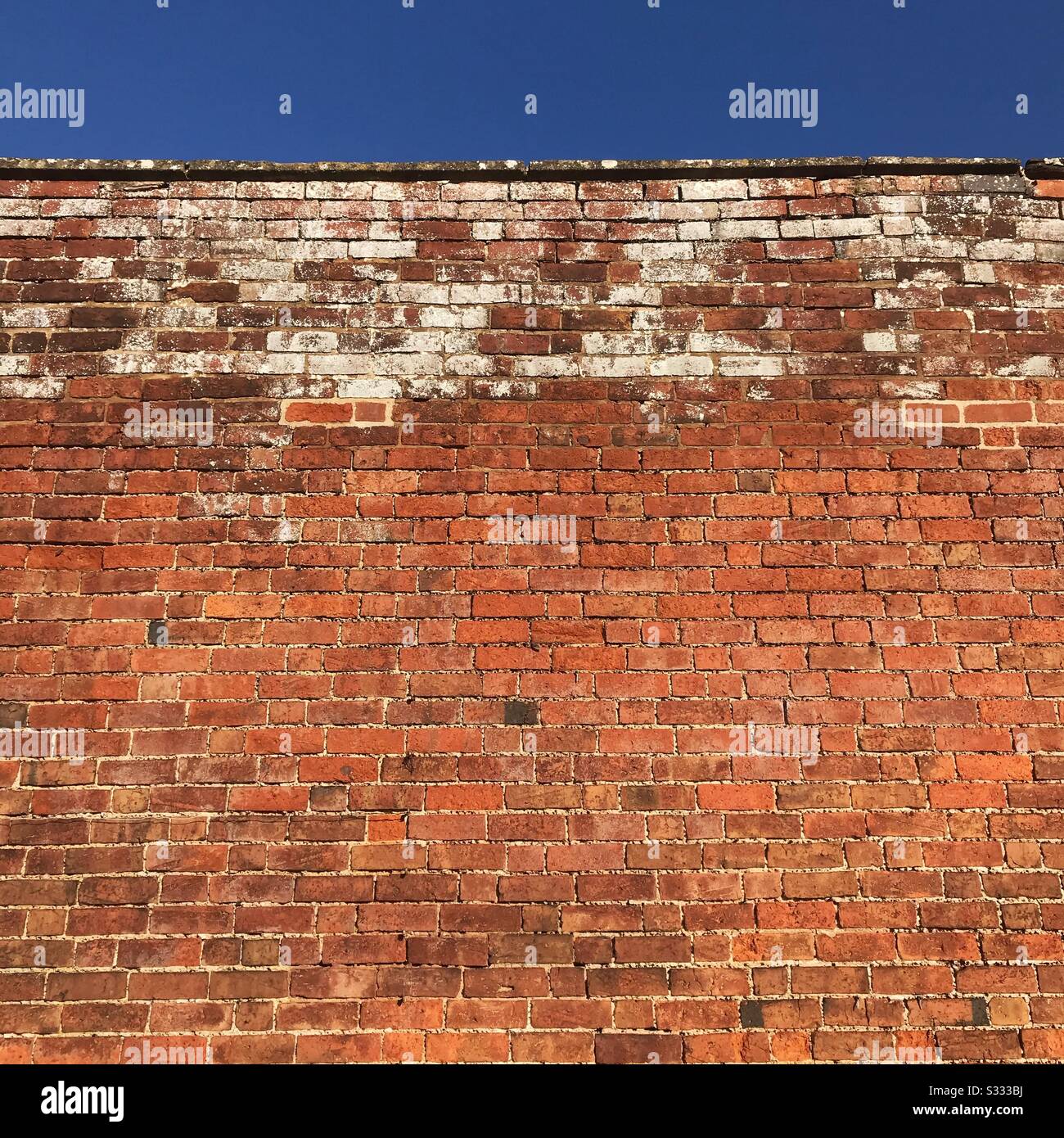 Victorian tall red brick garden wall in the UK Stock Photo