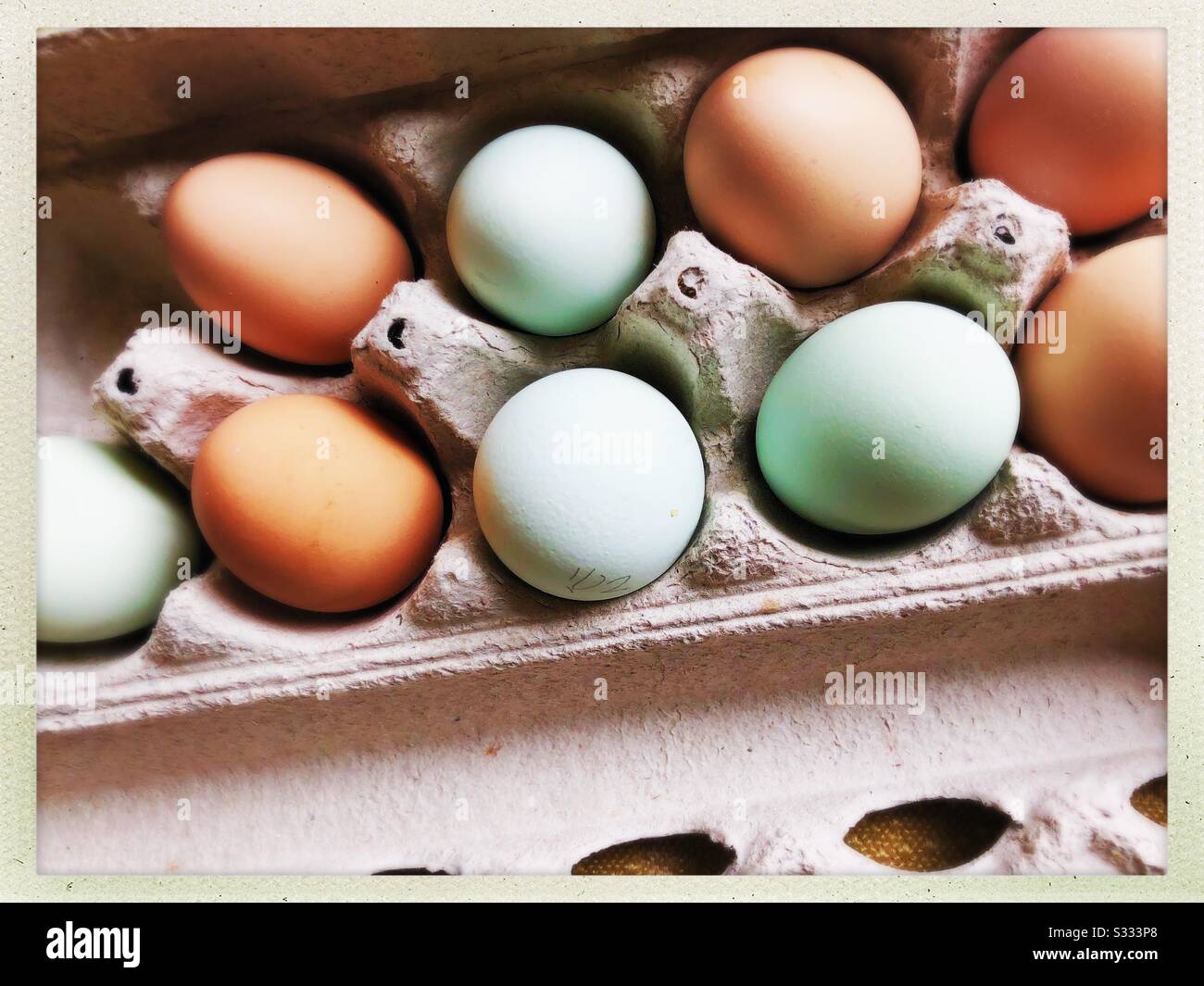 Natural colored eggs from farm Stock Photo Alamy