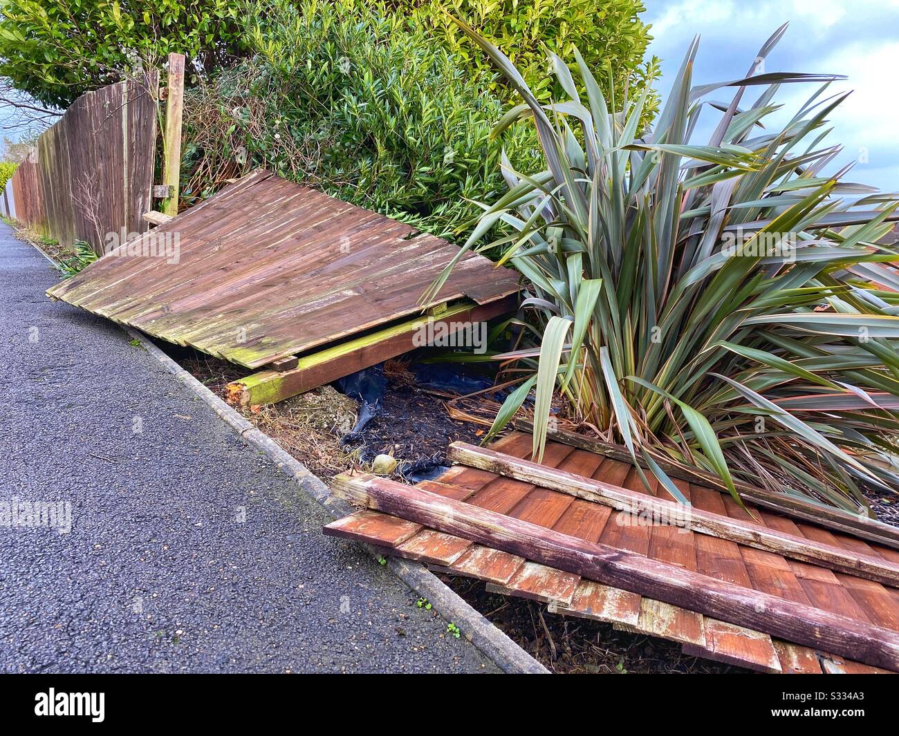 Wooden garden fence damaged by the strong winds of a winter storm - Smartphone Captured Stock Image