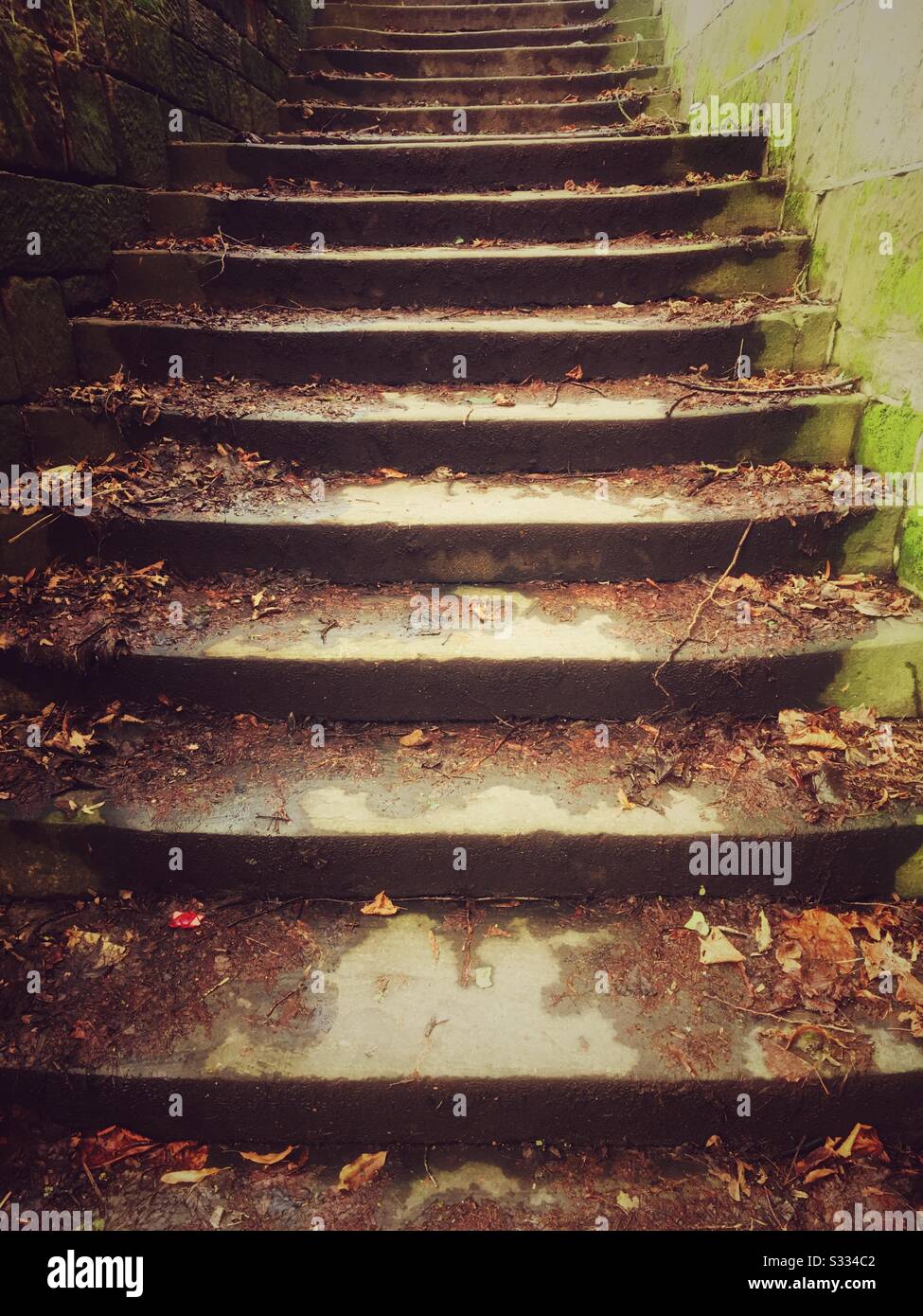 Wet steps - Smartphone Captured Stock Image