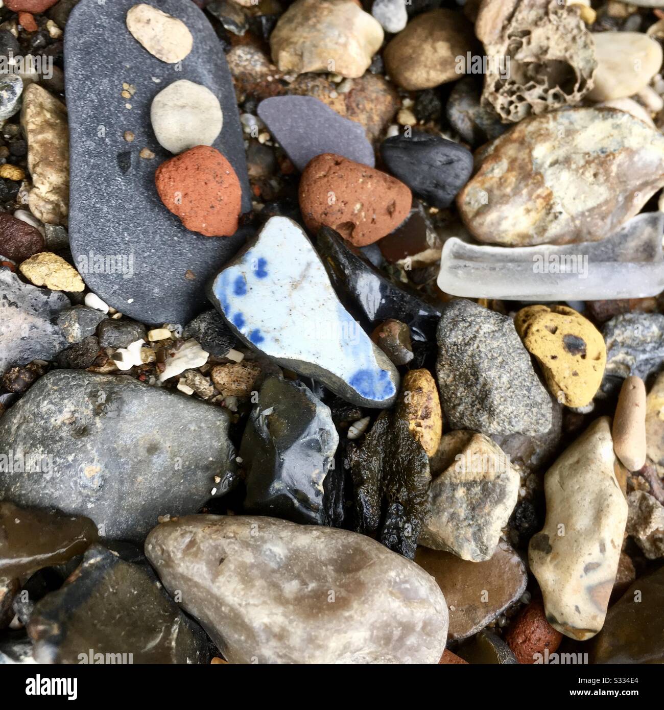 Delft pottery sherd found by London mudlark on River Thanes at low tide - Smartphone Captured Stock Image