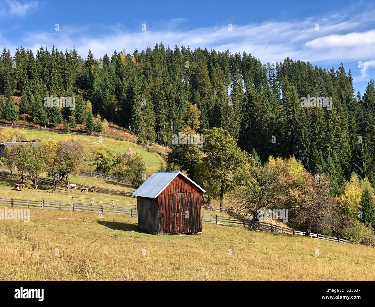 Countryside view in the mountains - Smartphone Captured Stock Image