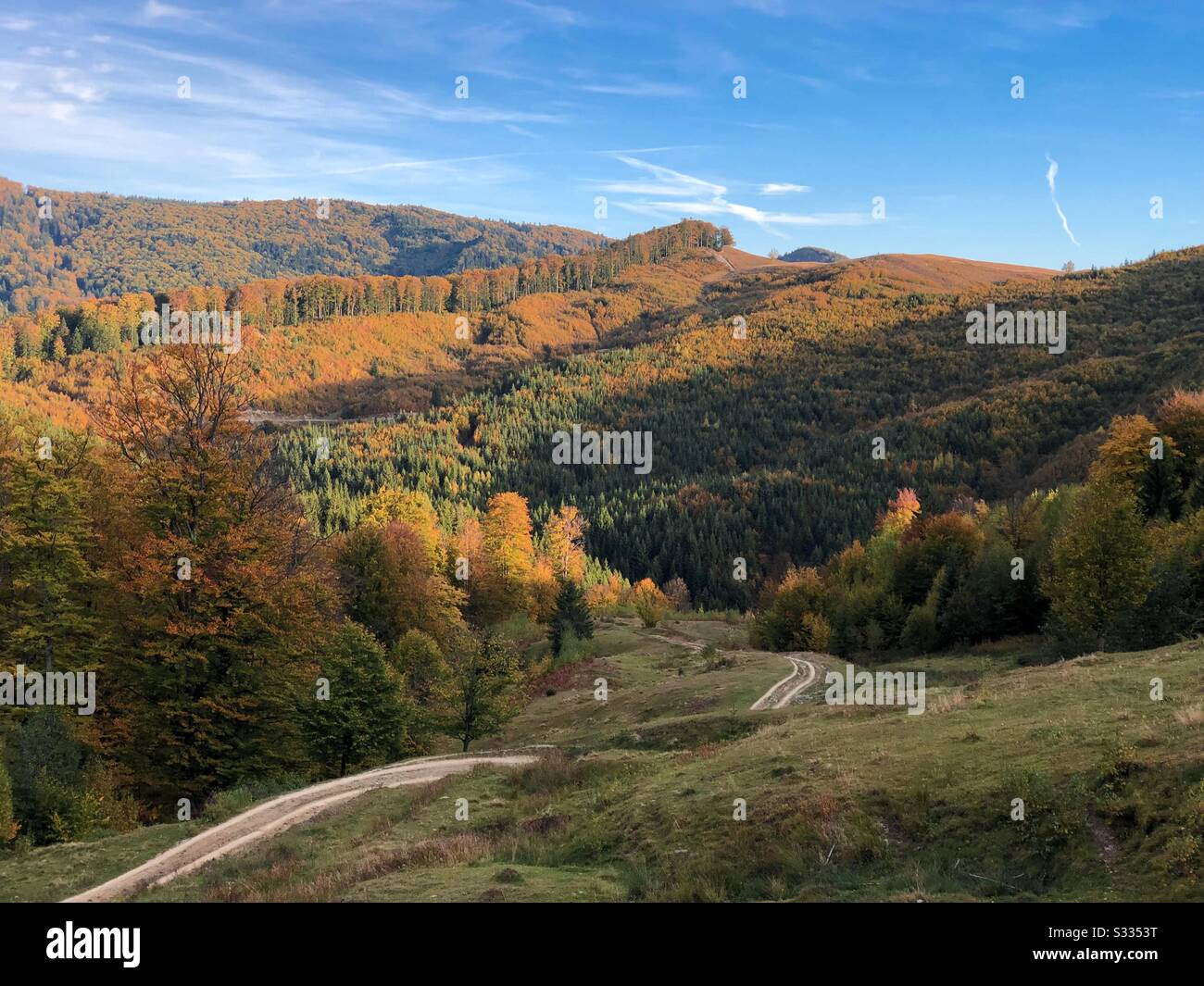 Road in the mountains during autumn - Smartphone Captured Stock Image