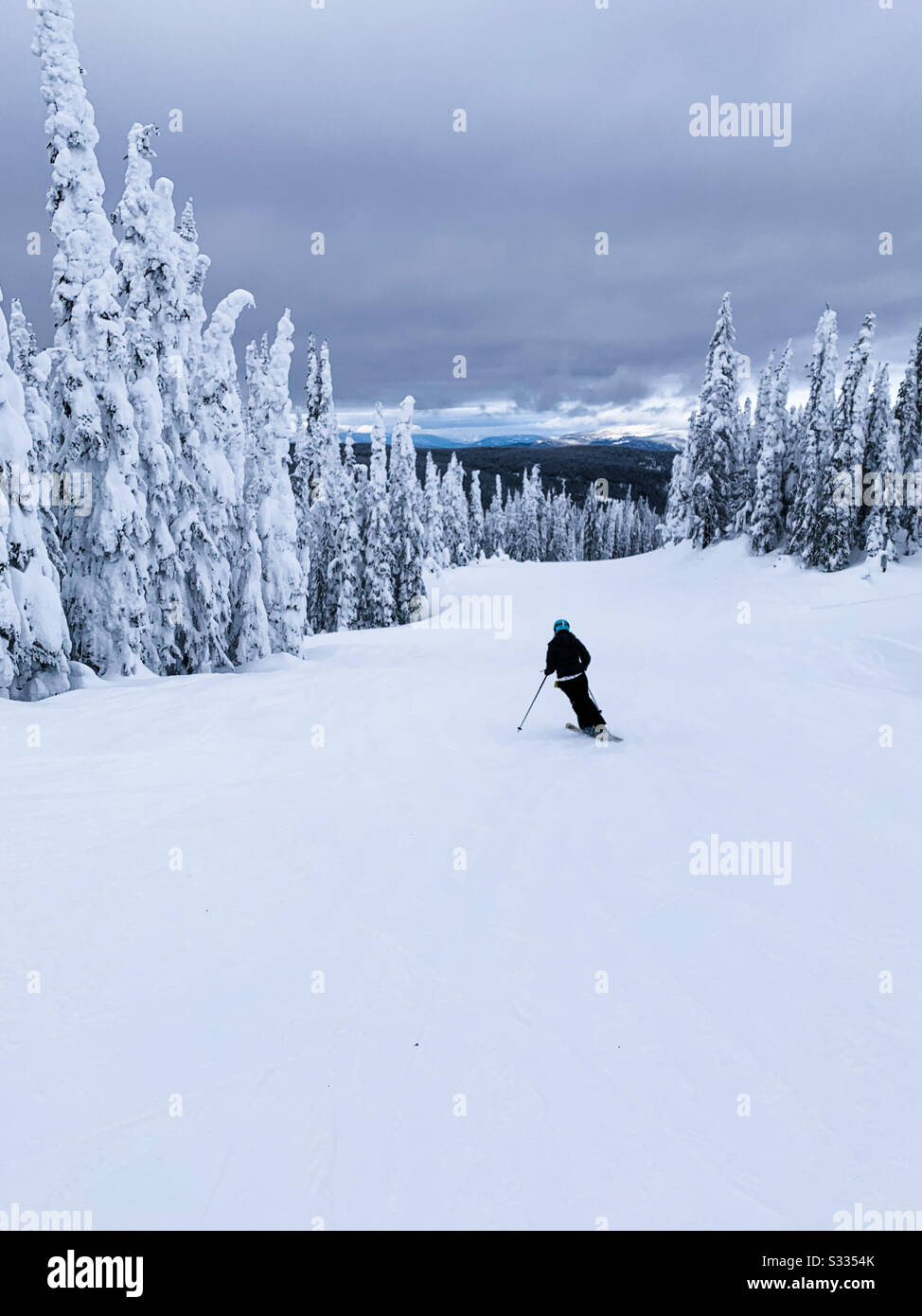 Woman downhill skiing amongst snow covered trees. - Smartphone Captured Stock Image