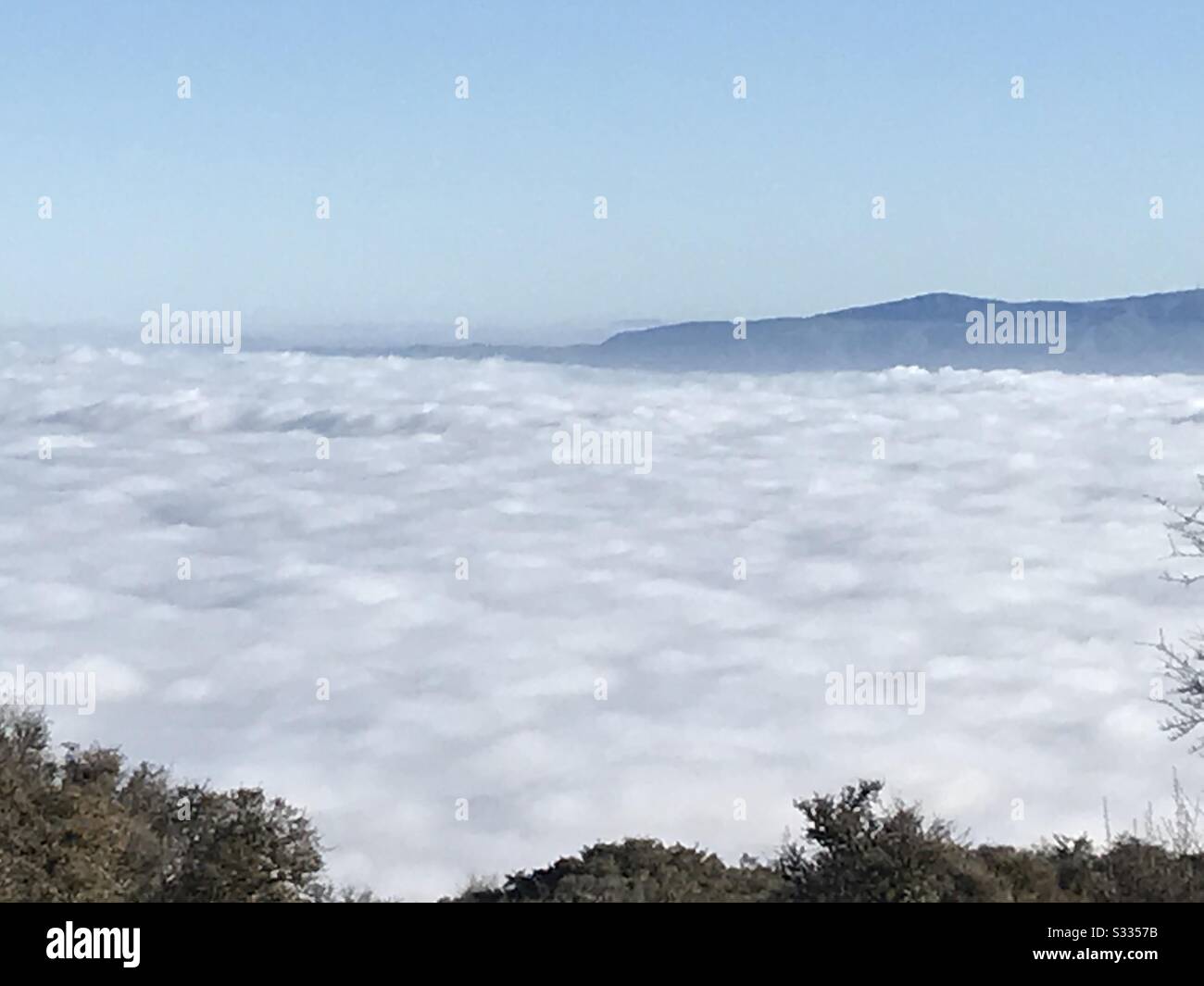 Fog covered Palo Alto Hill - Smartphone Captured Stock Image