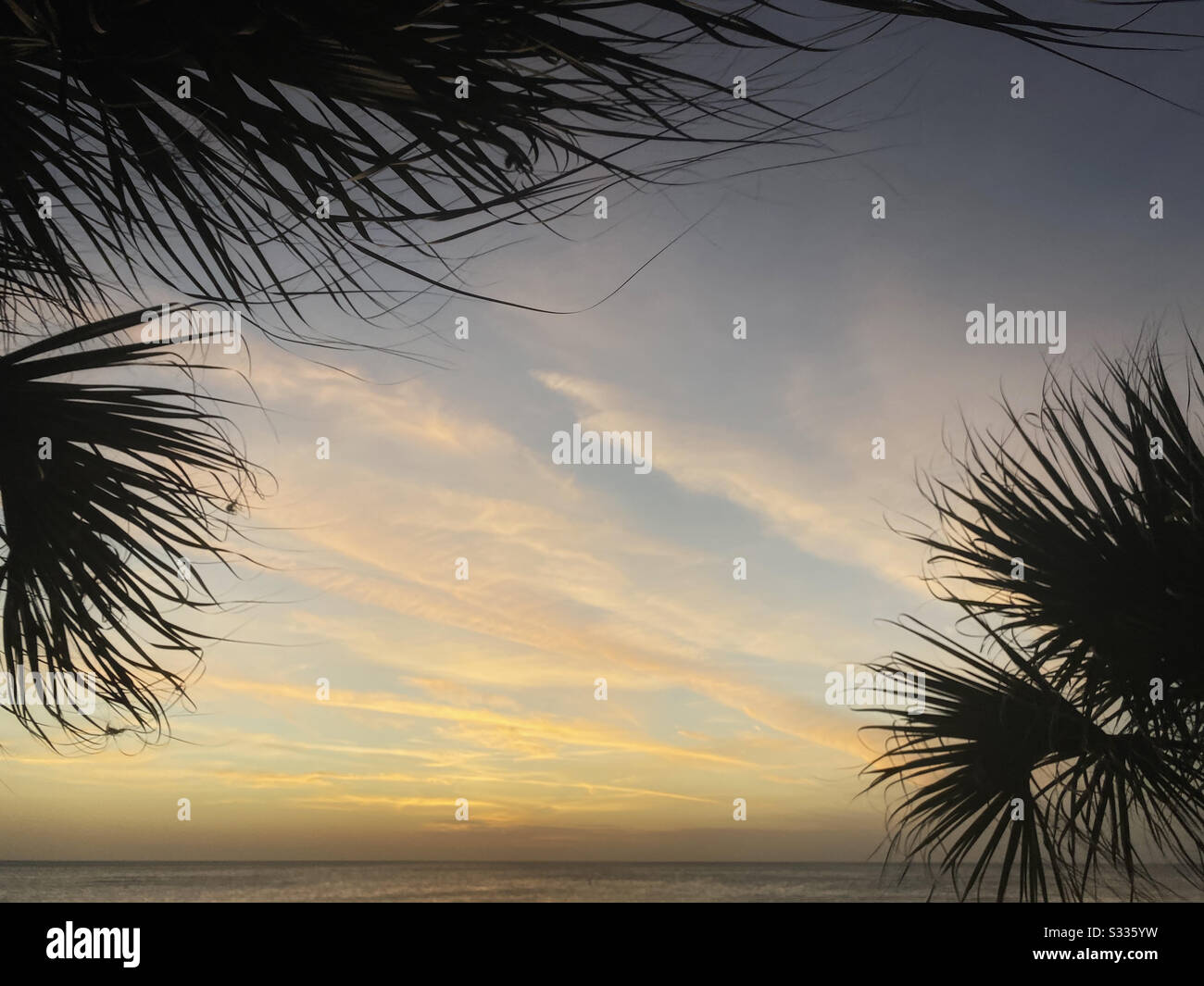 Sunset with palm trees Stock Photo