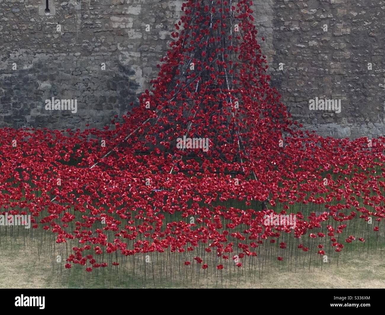 Poppies at The Tower of London. - Smartphone Captured Stock Image