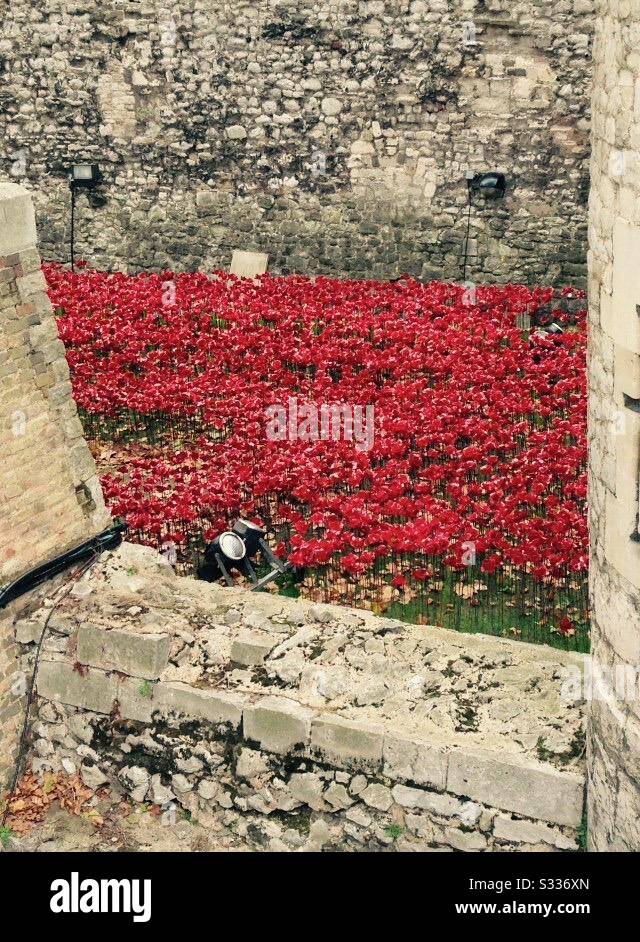 Poppies at The Tower of London. - Smartphone Captured Stock Image