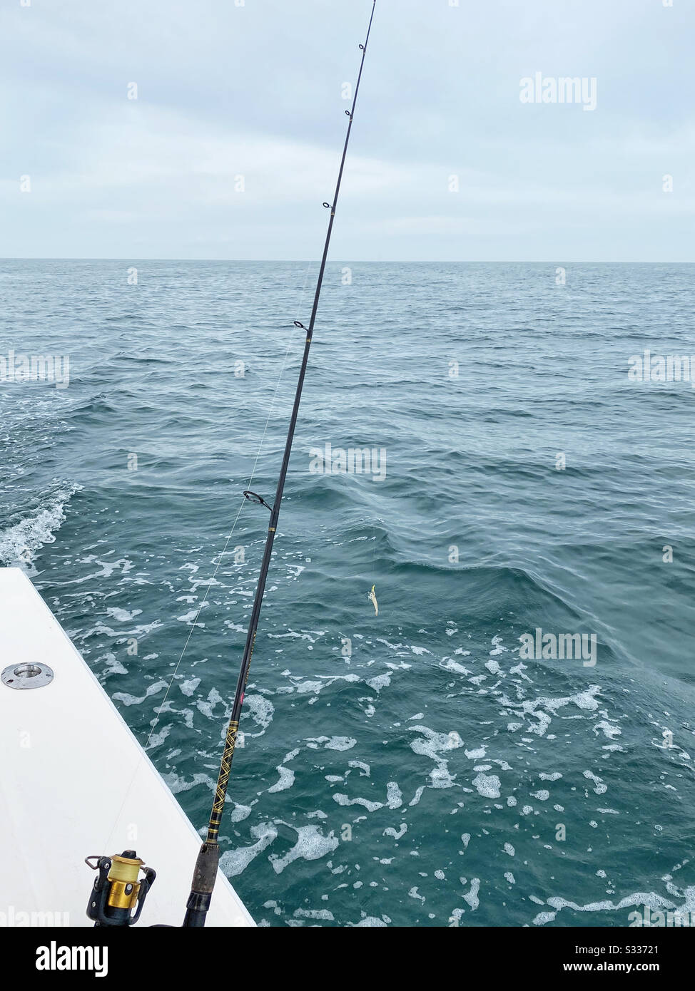 Fishing pole on boat. - Smartphone Captured Stock Image