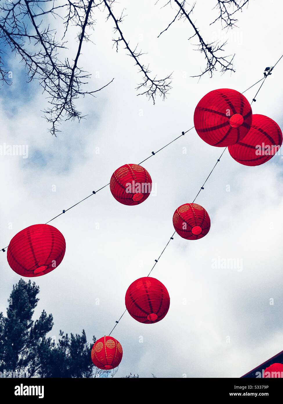 Red Chinese lanterns strung against portland sky Stock Photo