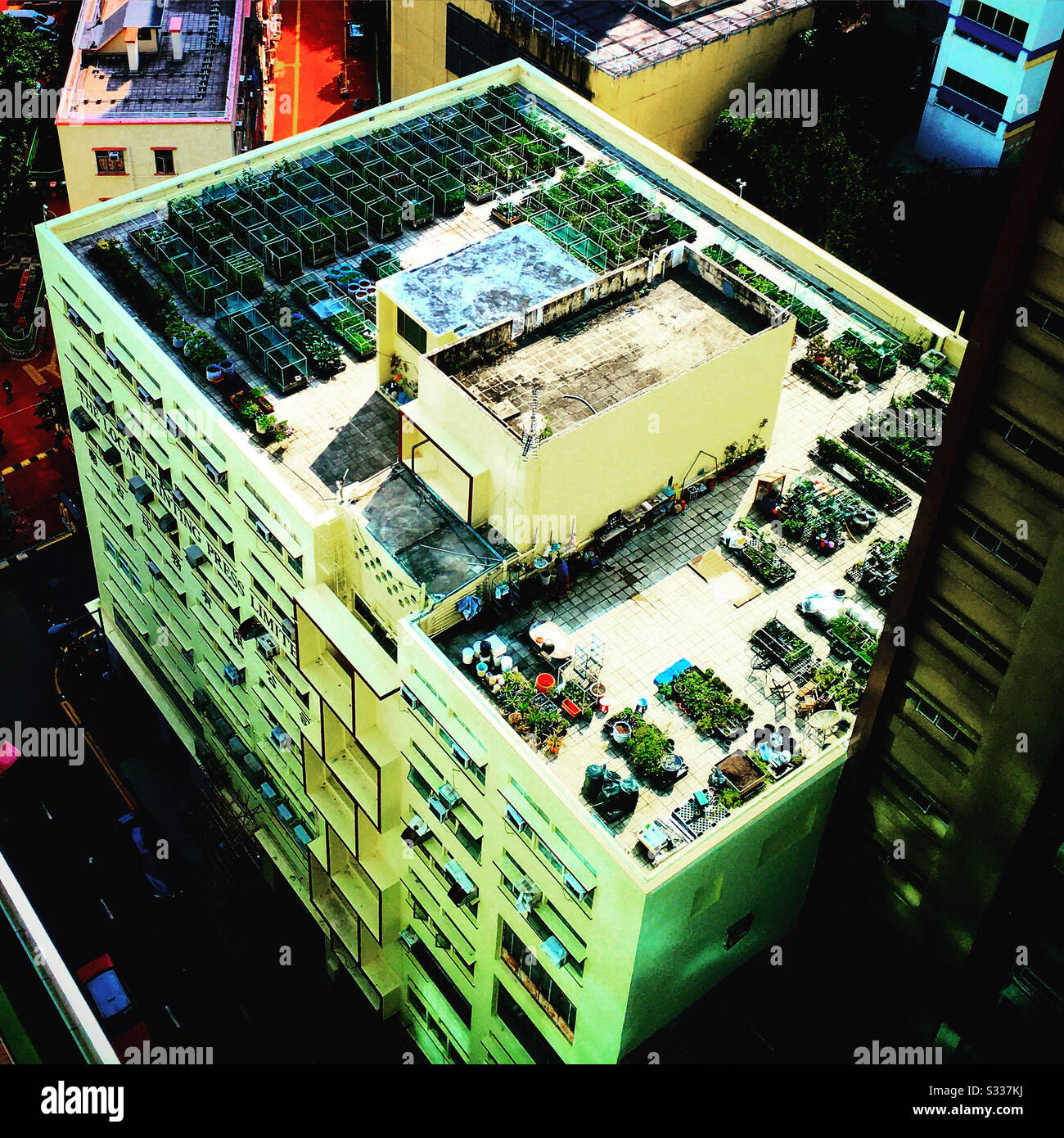 Gardens on a roof top terrace on a tower in Hong Kong Island - Smartphone Captured Stock Image