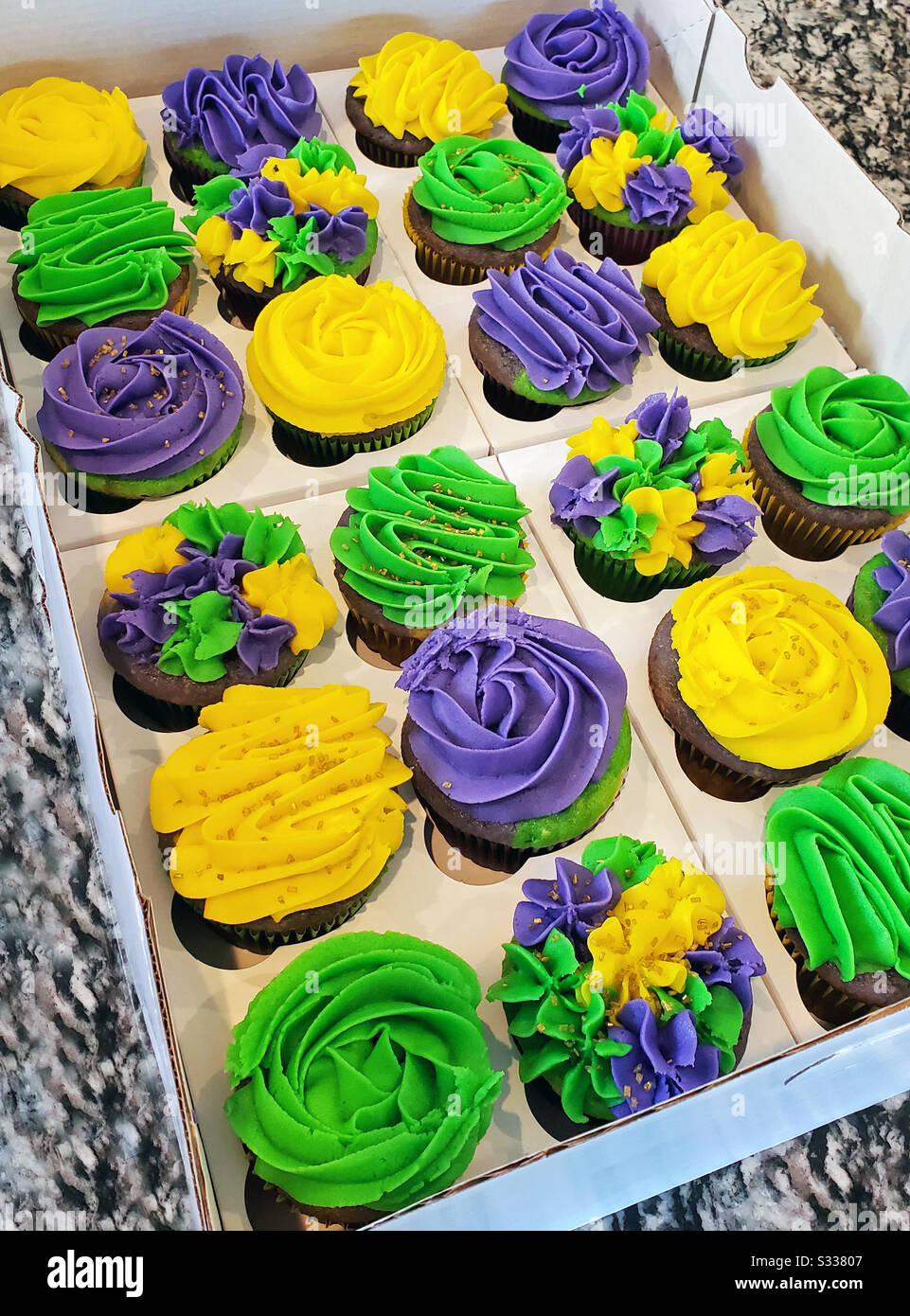 Two dozen colorful, purple, lime green and golden yellow Mardi Gras, chocolate, cupcakes in a bakery box. Stock Photo