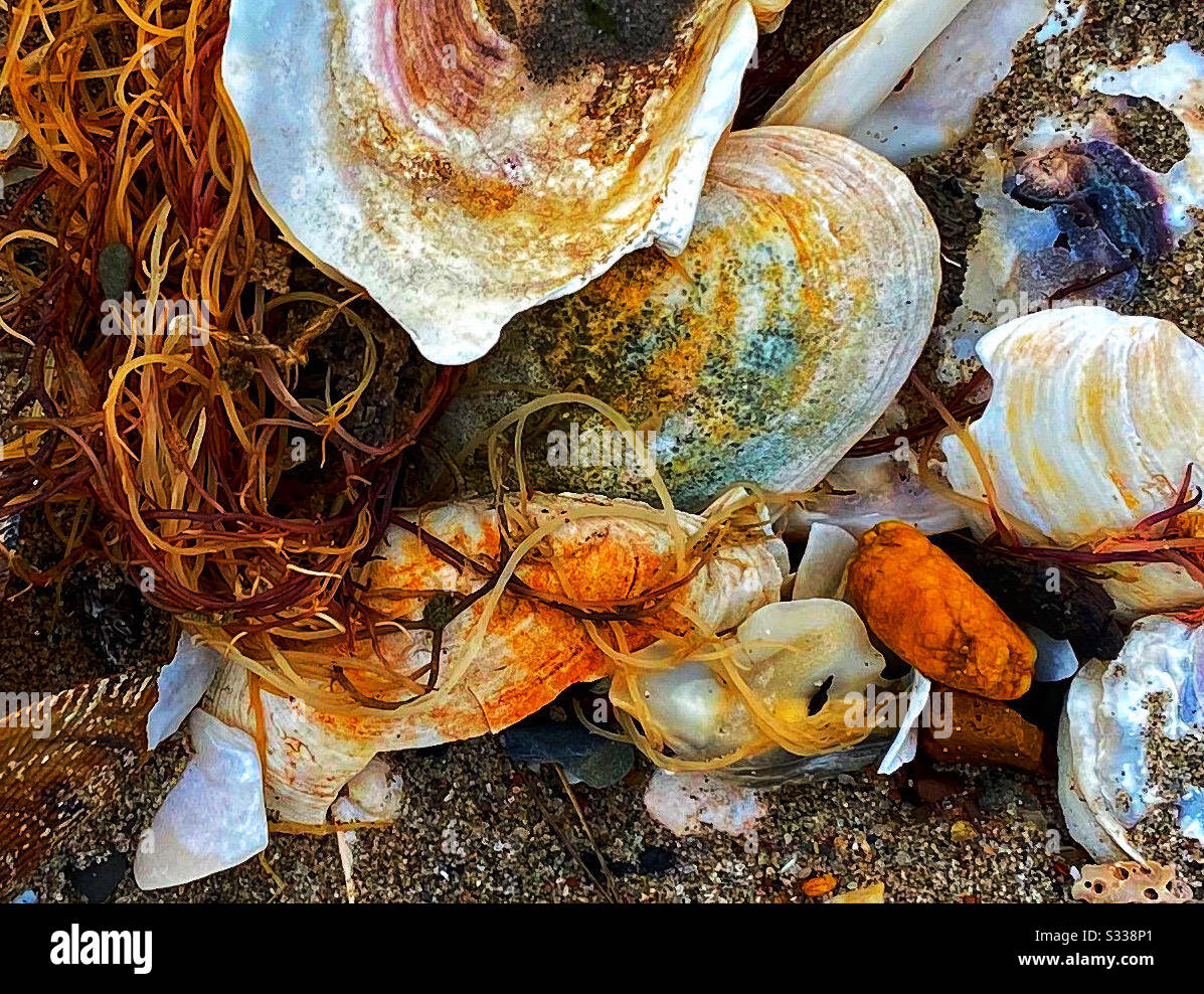 Rack line hi-res stock photography and images - Alamy