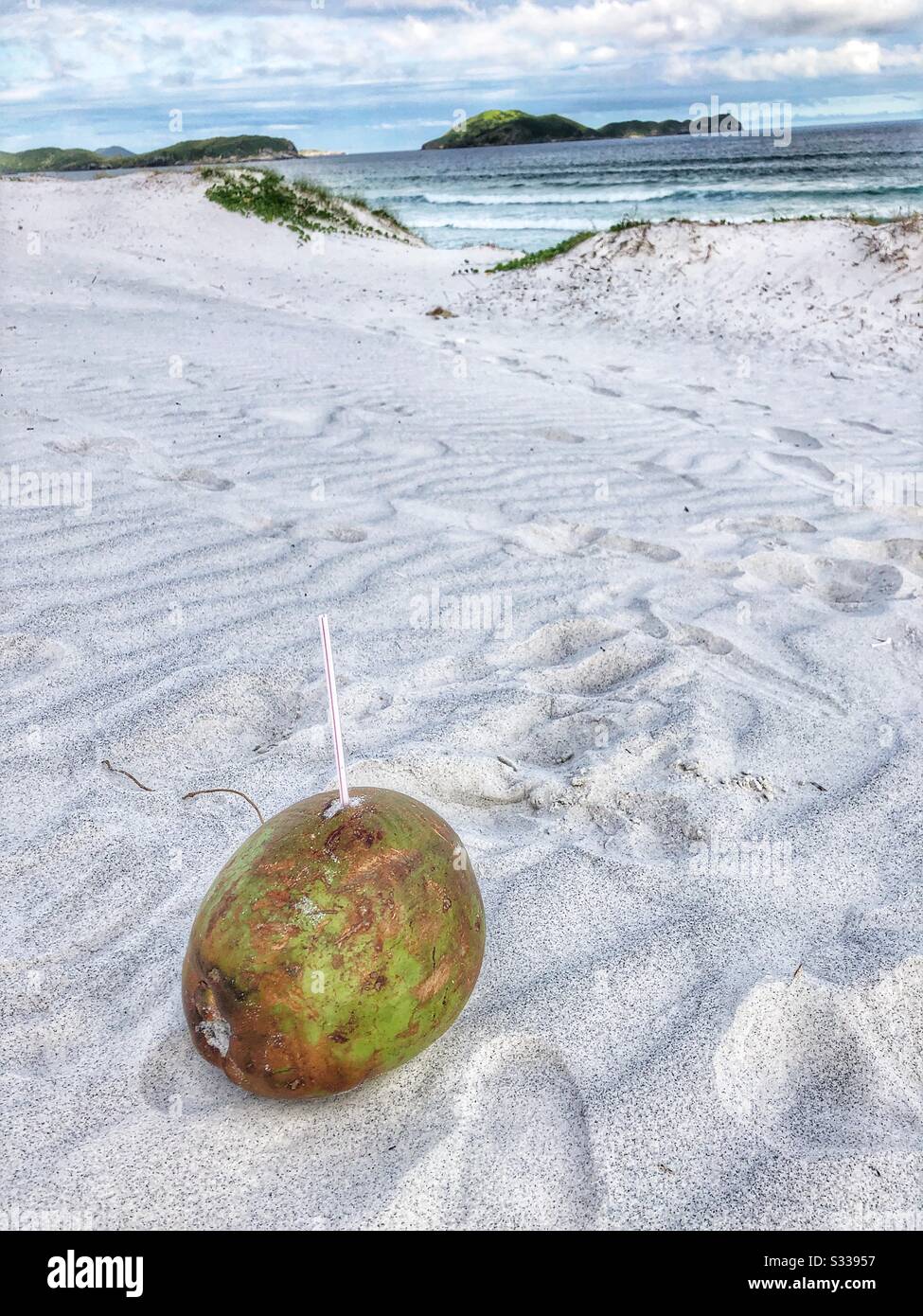 Coconut on the beach Stock Photo Alamy