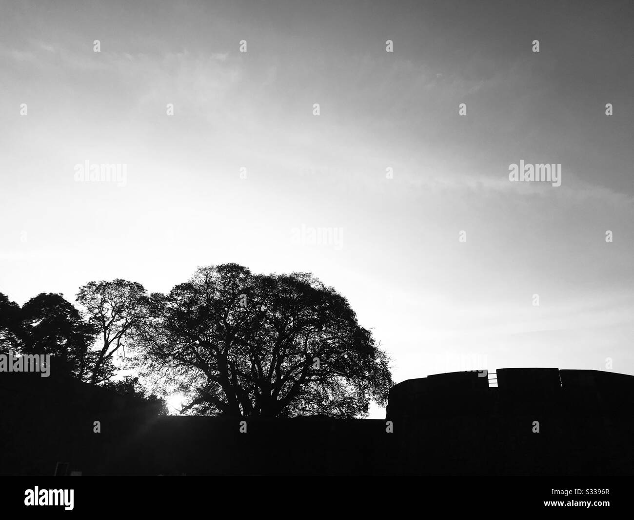 a partial view of Palakkad Tipu Sultan fort and trees with vast sky as background in black & white mode , it’s a tourist destination Stock Photo