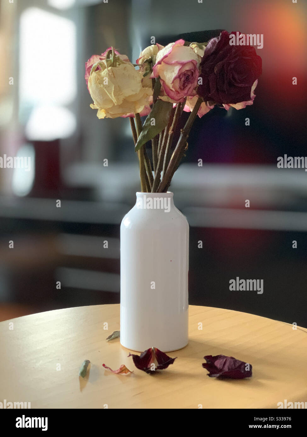Dead flowers for love or for apologies? Stock Photo