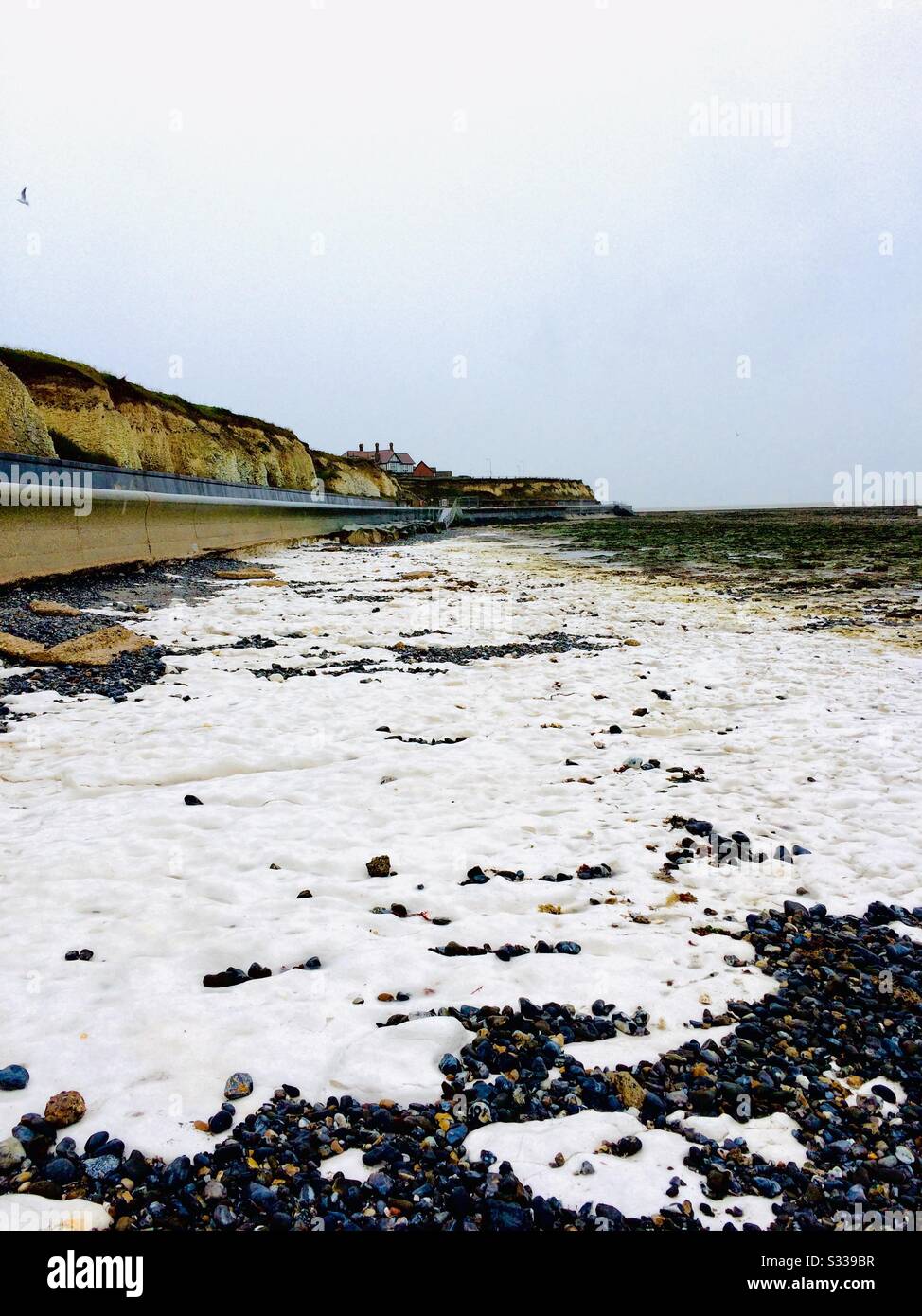 Grenham Bay, Kent, after storm Dennis sweeps away pebbles revealing chalk reef Stock Photo