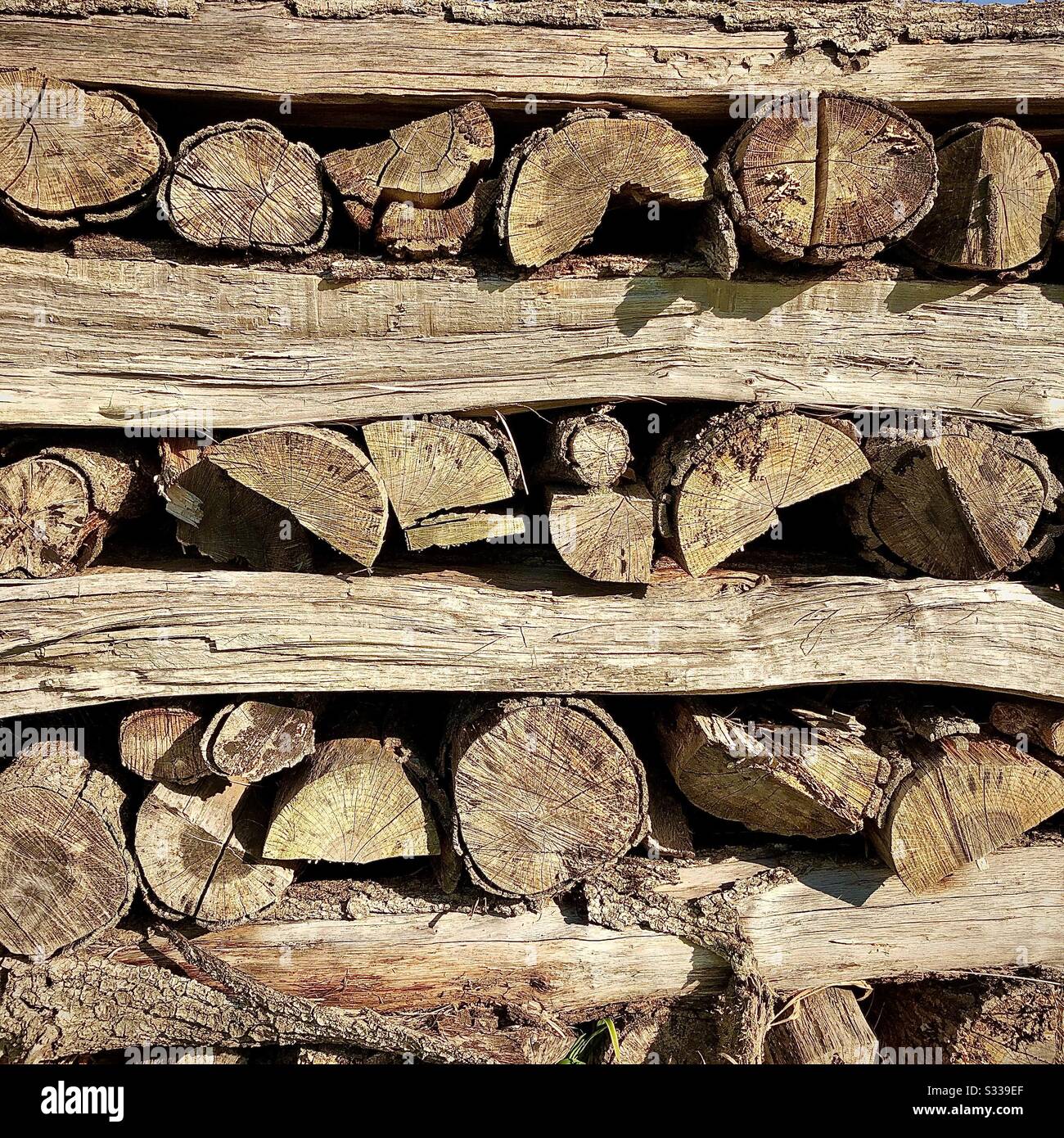 Neatly stacked split Oak logs for domestic firewood. - Smartphone Captured Stock Image