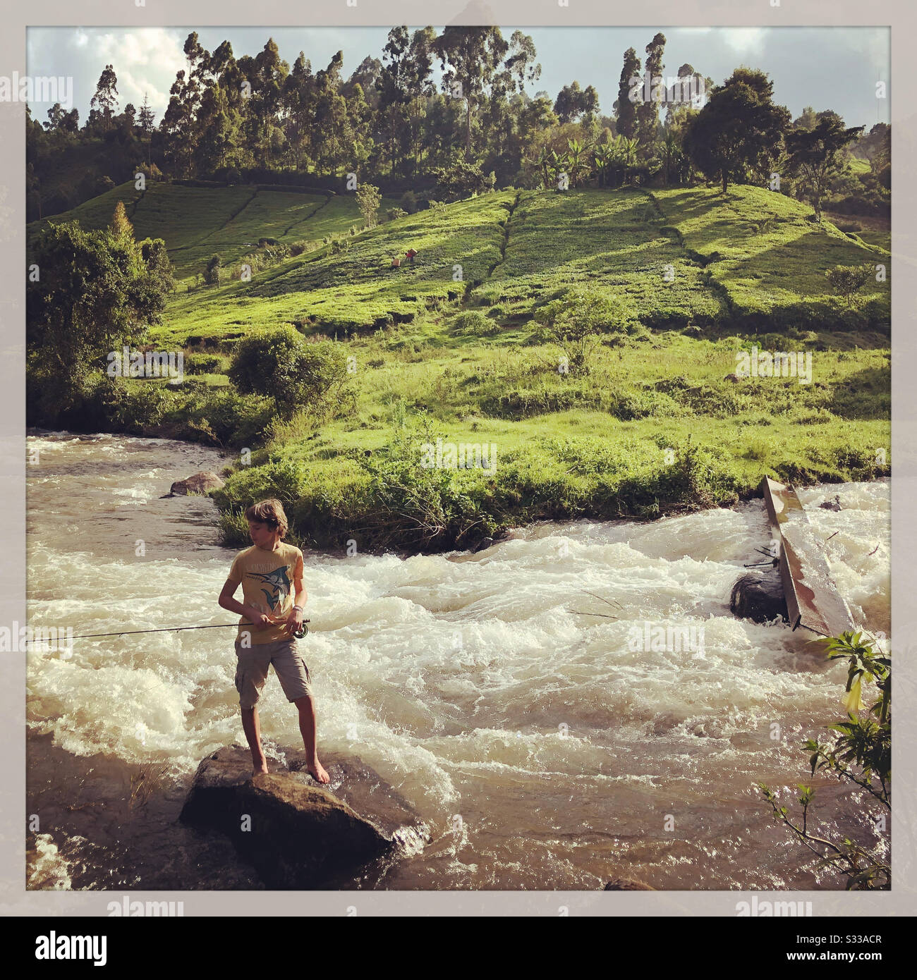 Fly fishing, Aberdare Mountains, Kenya - Smartphone Captured Stock Image