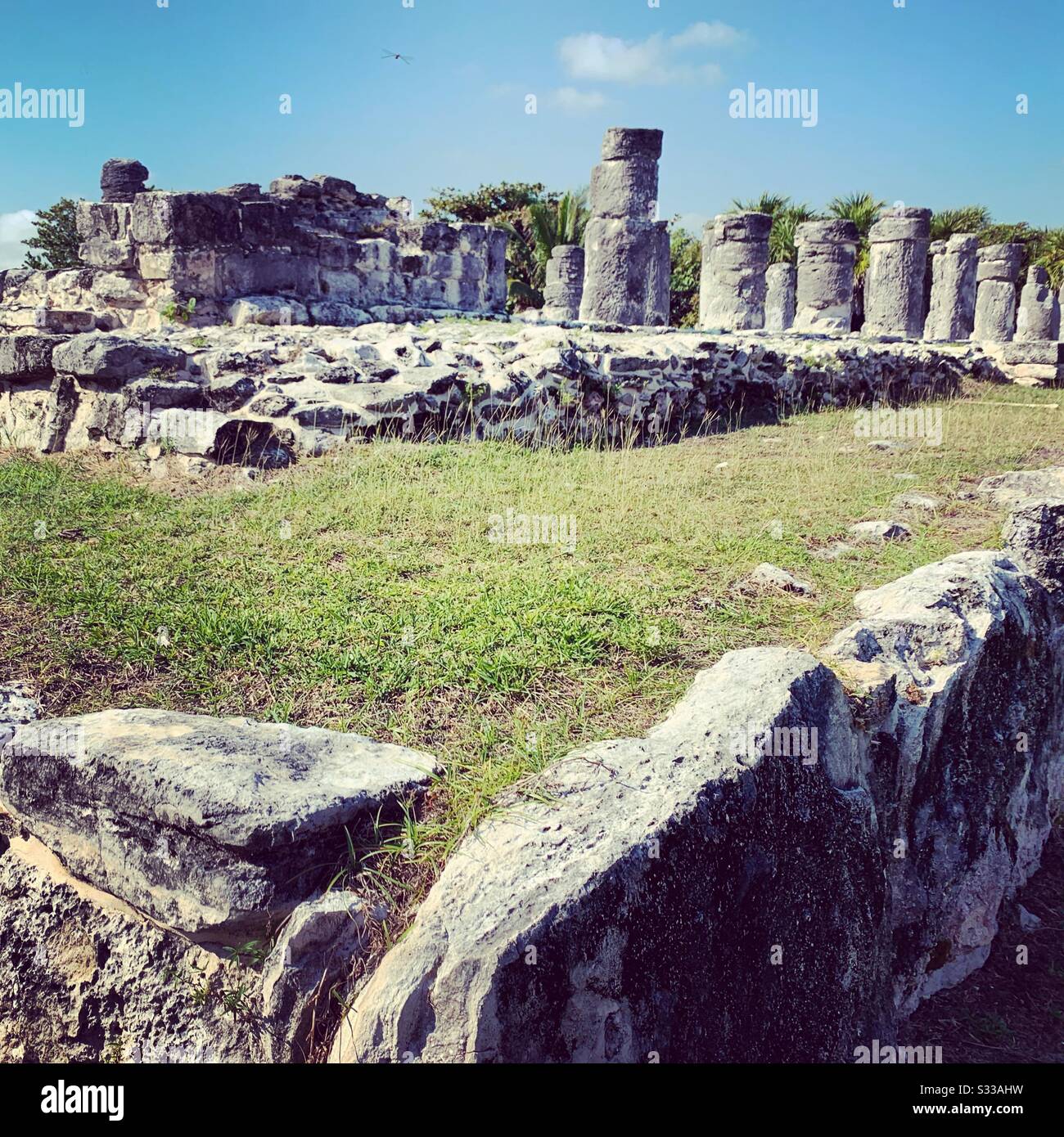 El Rey archaeological site, Cancun, Quintana Roo, Mexico Stock Photo ...