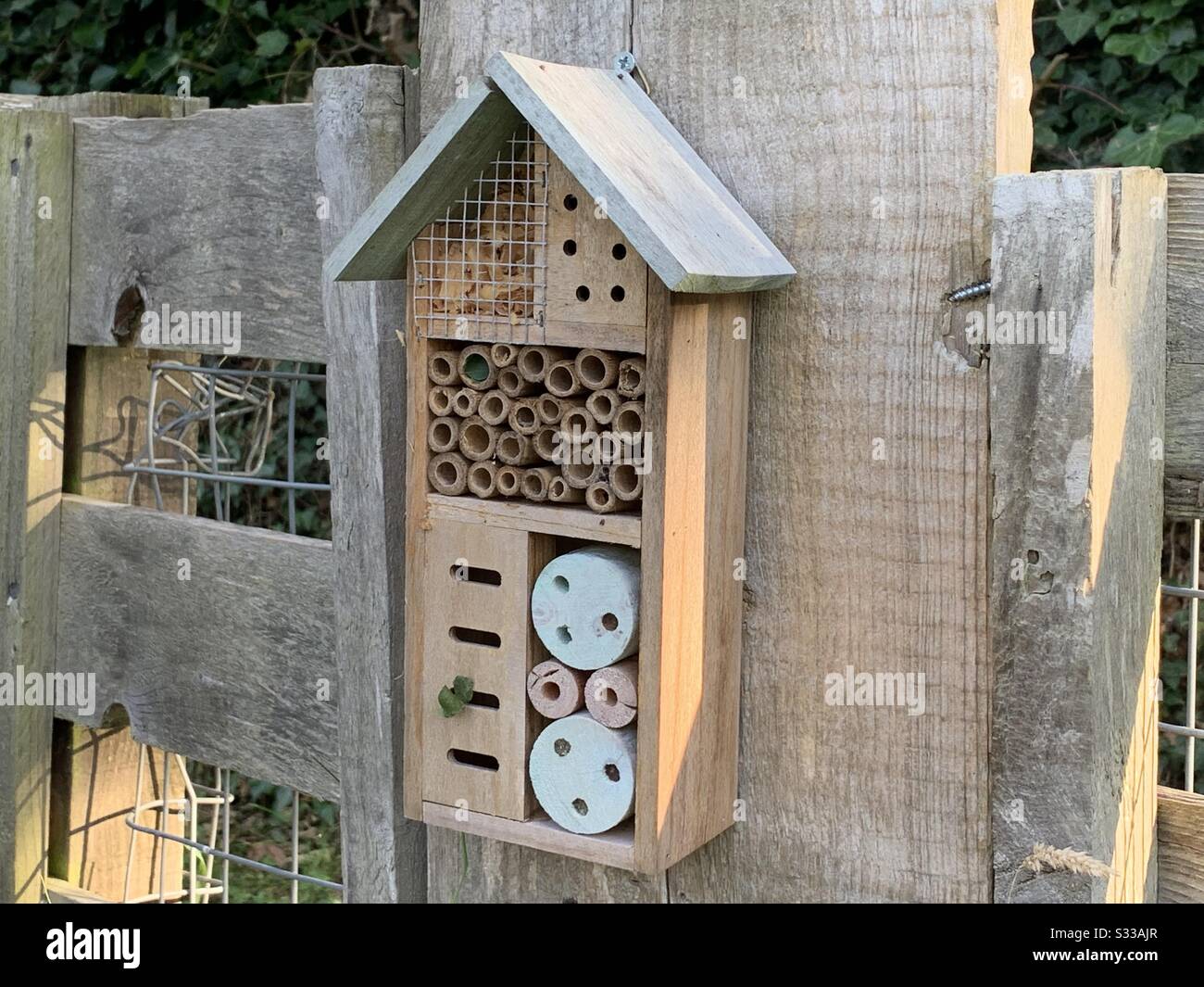 bug house