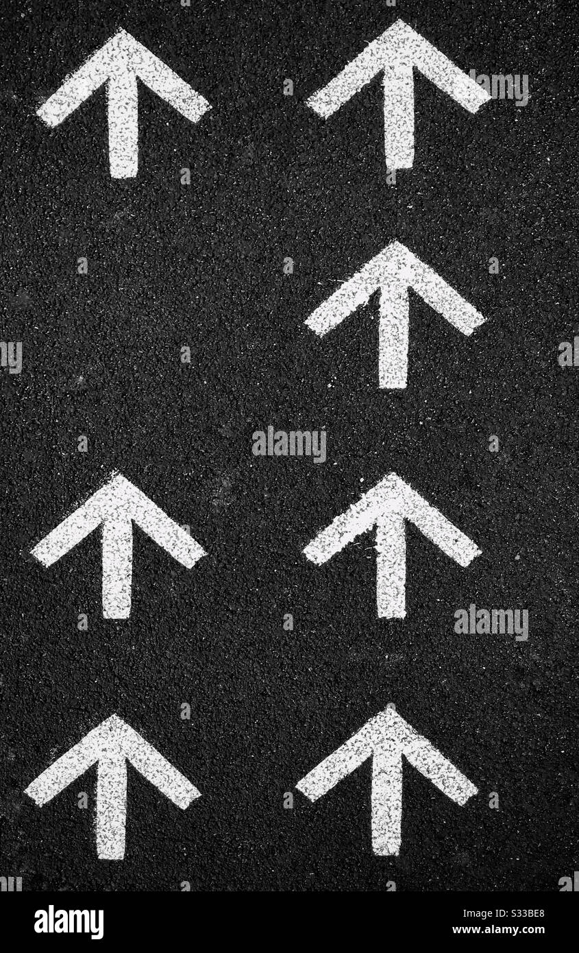 White arrows point upwards. Is there one missing? Where is it? Should I go this way? Are they indicating the correct direction? A conceptual image with multiply uses. Stock Photo