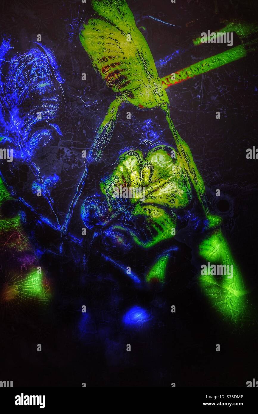 Abstract green colour hi-res stock photography and images - Alamy