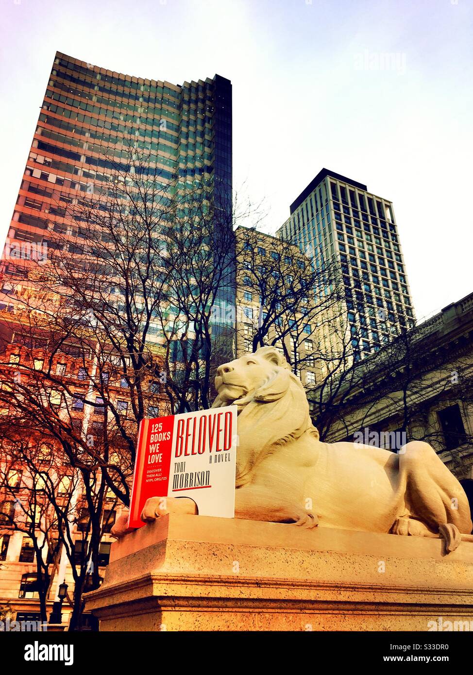 One of the iconic New York public library lions reading a book to celebrate reading month, NYC, USA - Smartphone Captured Stock Image