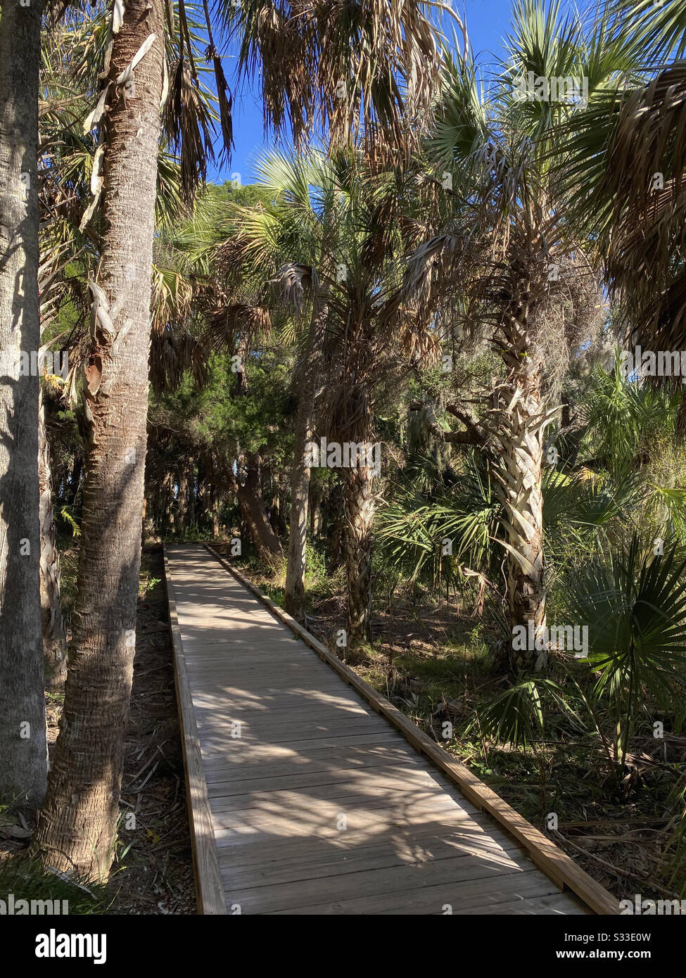 Wooden walkway at Roger Batchelor Pier, Fort Island, Gulf Beach, Florida Stock Photo