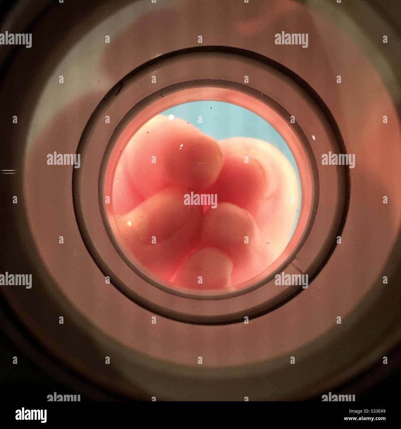 View microscope hi-res stock photography and images - Alamy