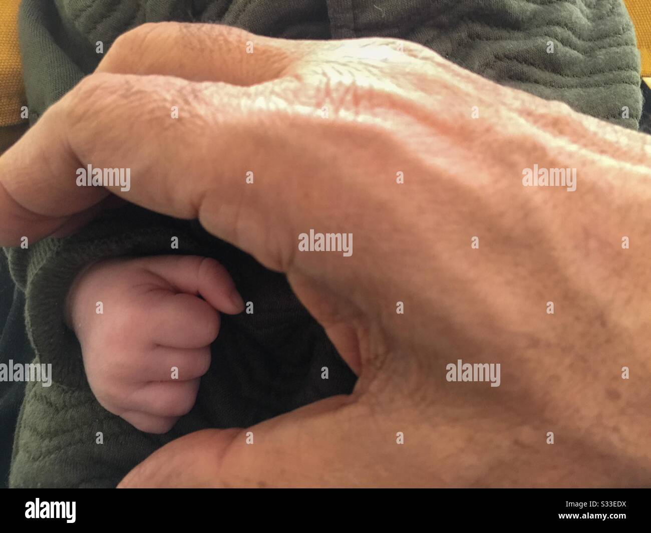 Old hand Young hand. Genetic connection. Two generations apart. Sheltering. Protective. Protecting. Flesh of my flesh. Bone of my bone. - Smartphone Captured Stock Image