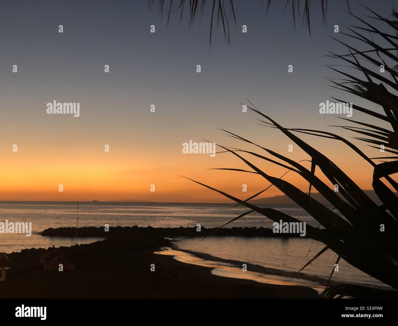 Sunset with silhouetted palm trees Stock Photo - Alamy