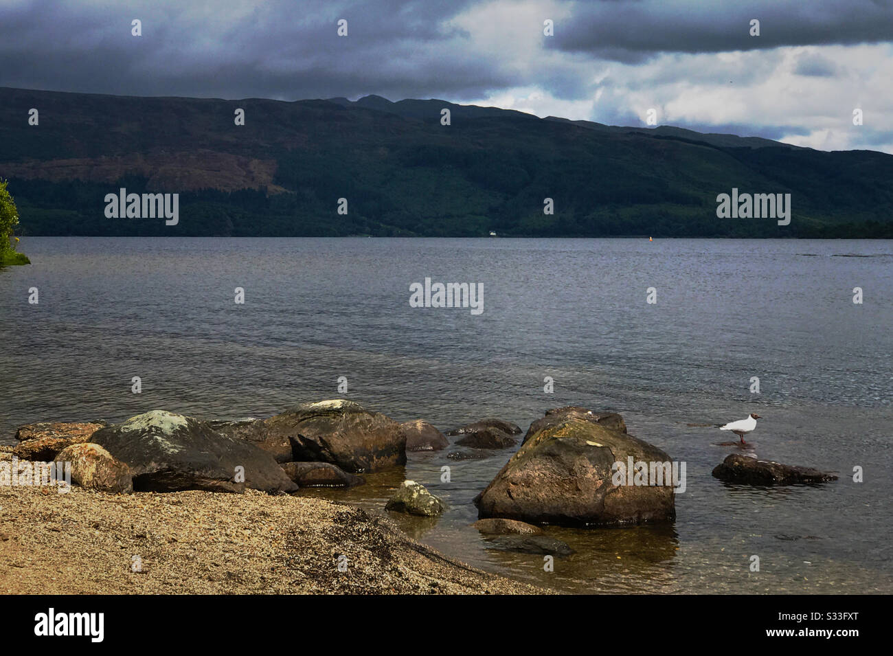 Loch Lomond, Scotland. - Smartphone Captured Stock Image