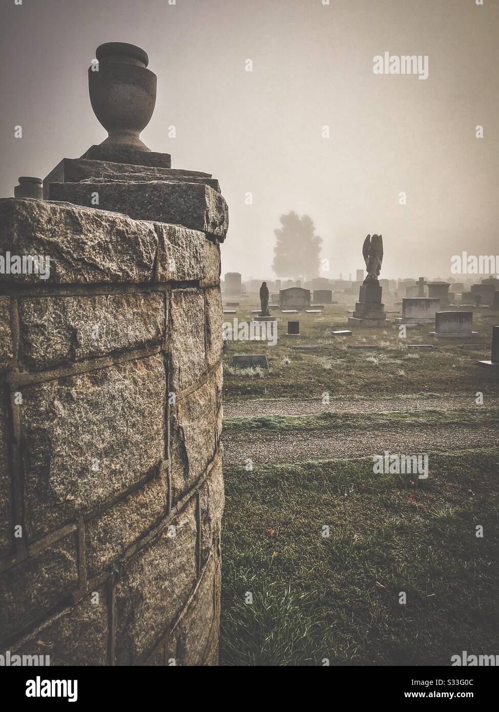 Sunlight through mist in wintry cemetery scene - Smartphone Captured Stock Image
