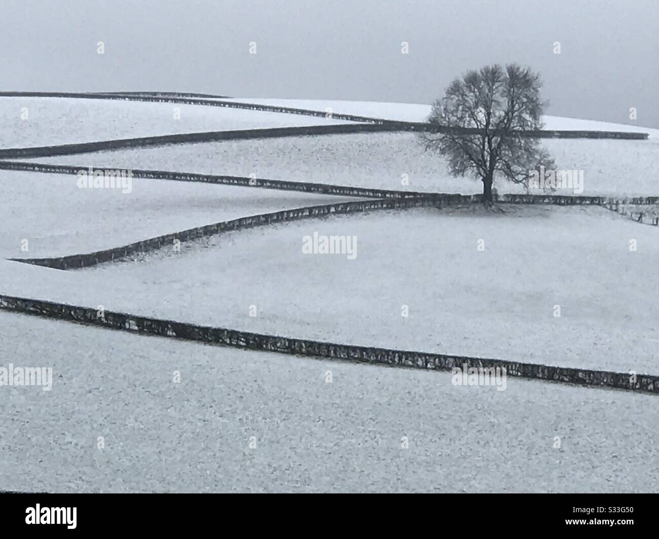 UK North Yorkshire 24th February 2020 - Snow across farmland in North Yorkshire Stock Photo