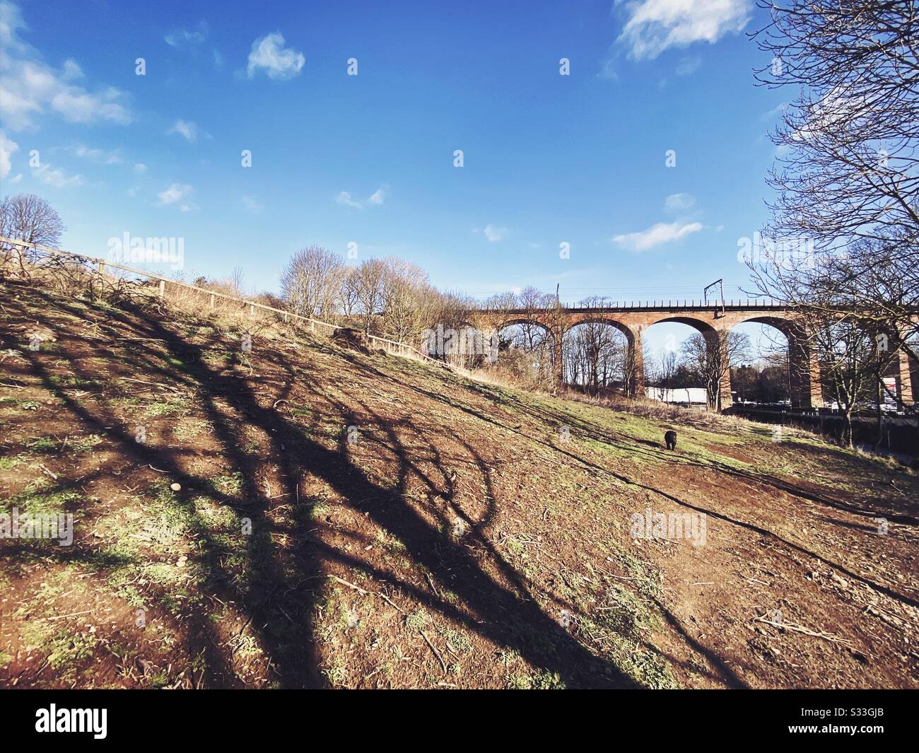 Chester le street viaduct hires stock photography and images Alamy