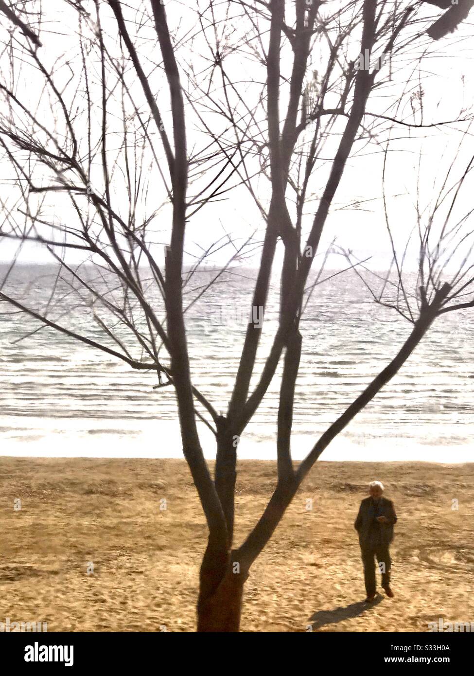 A beach sunny day in Split, Croatia in February 2020 during corona virus hysteria - Smartphone Captured Stock Image