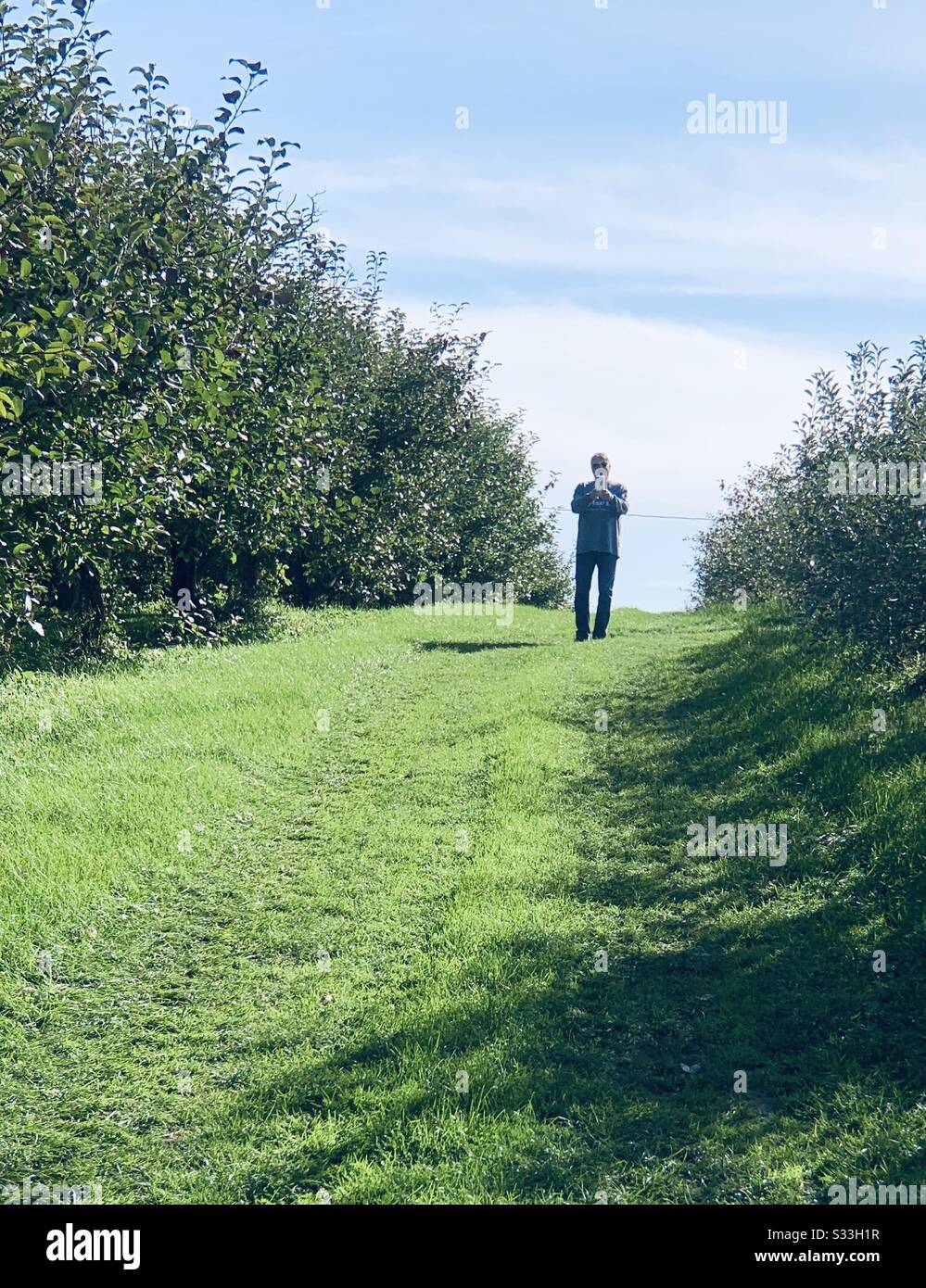 DUBUQUE, IOWA, 10/20/19--Landscape photo of caucasion man taking photo of me taking his photo on a bright sunny fall day in an apple orchard during a festival. Stock Photo